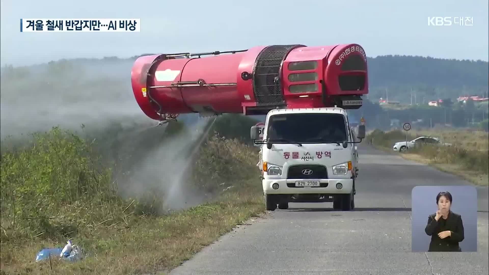 어느덧 ‘겨울철새’ 도래…‘AI 방역’ 비상