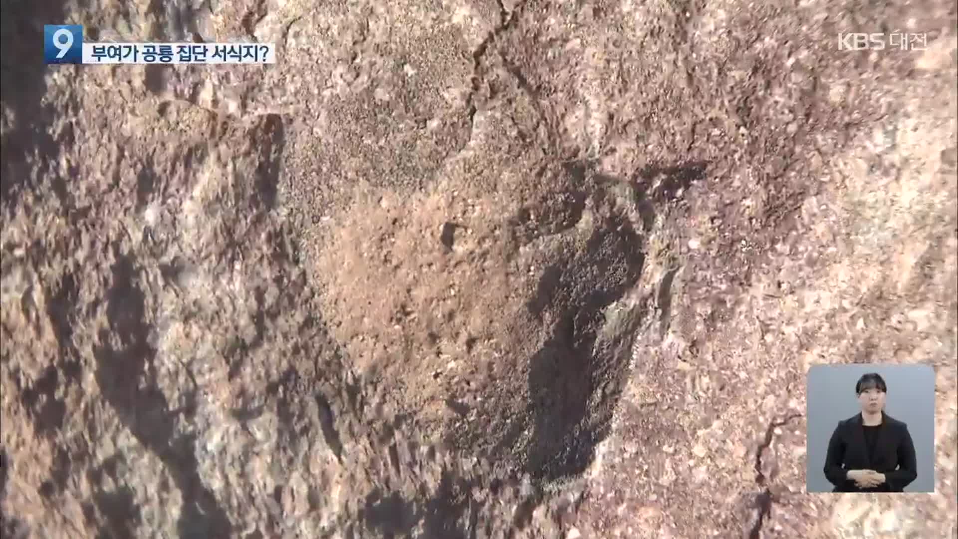 부여에서 9년 만에 공룡알 추정 화석 또 발견