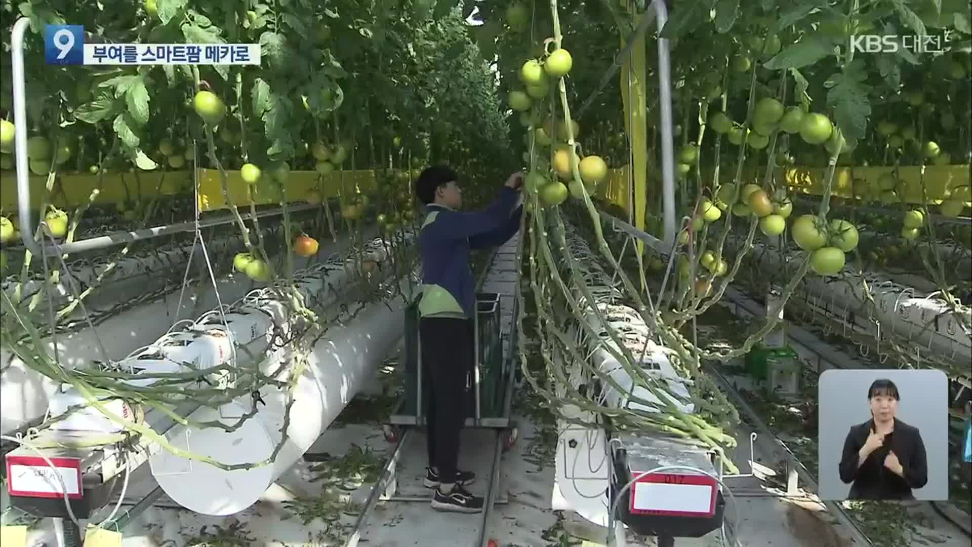 전국 최대 스마트팜 단지 부상…“시설비 90% 융자”