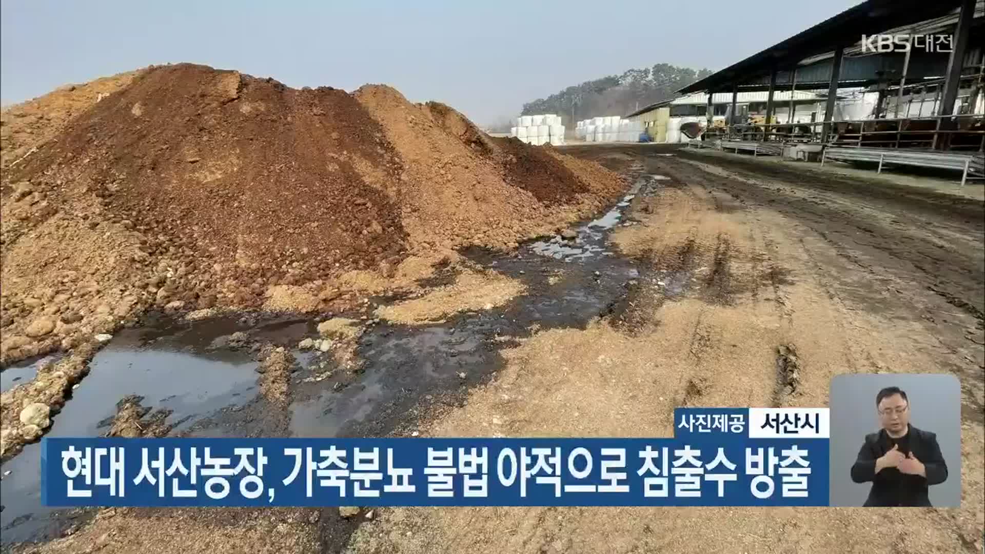 현대 서산농장, 가축분뇨 불법 야적으로 침출수 방출