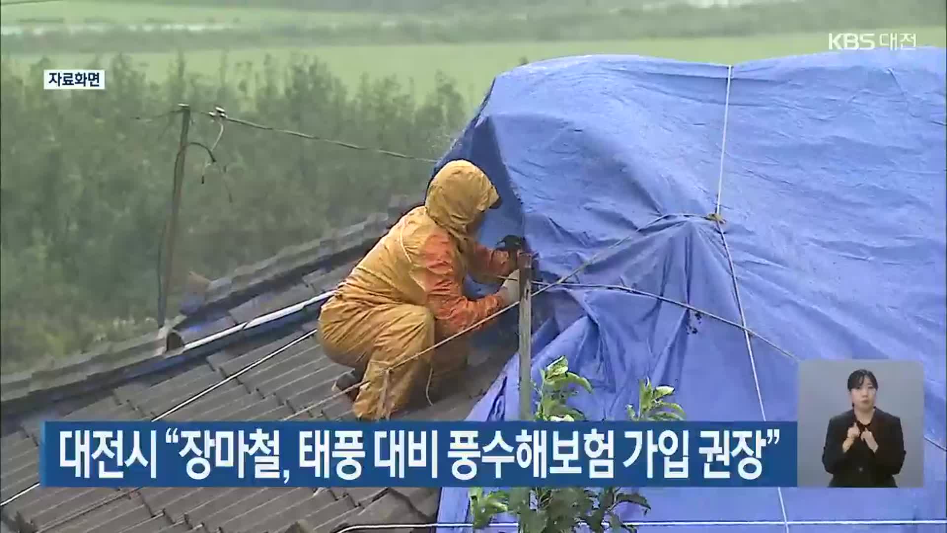 대전시 “장마철, 태풍 대비 풍수해보험 가입 권장”