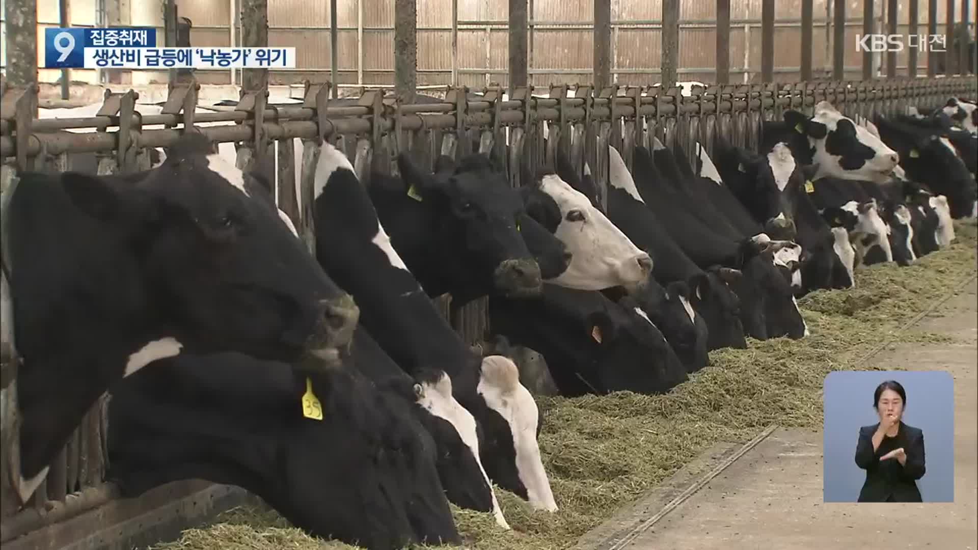 [집중취재] 치솟는 생산비에 축산농가 줄도산 위기