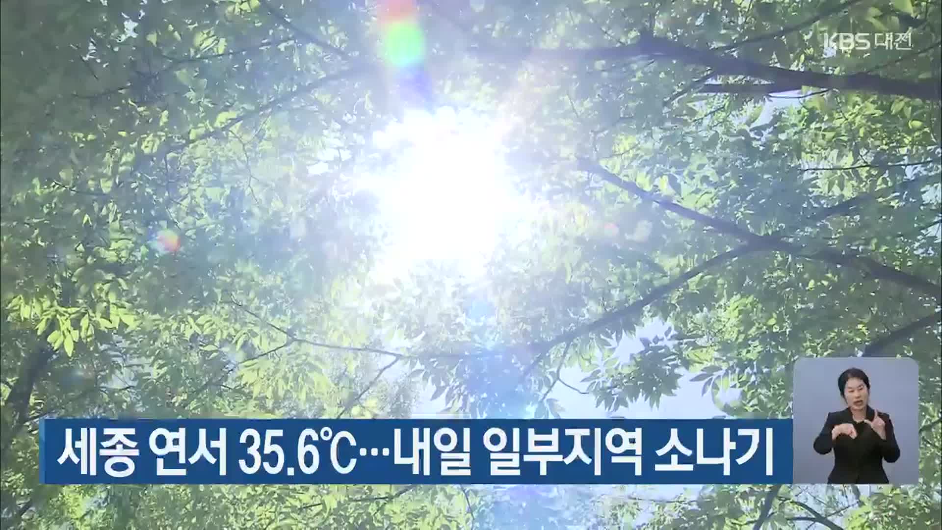 세종 연서 35.6℃…내일 일부지역 소나기