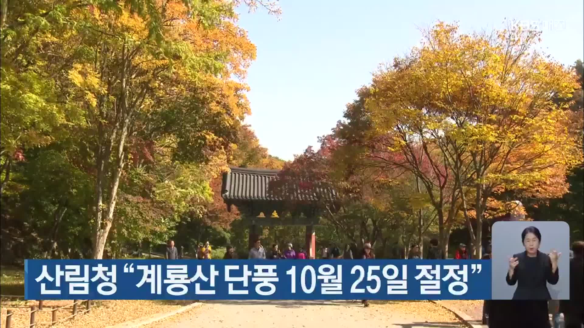 산림청 “계룡산 단풍 10월 25일 절정”