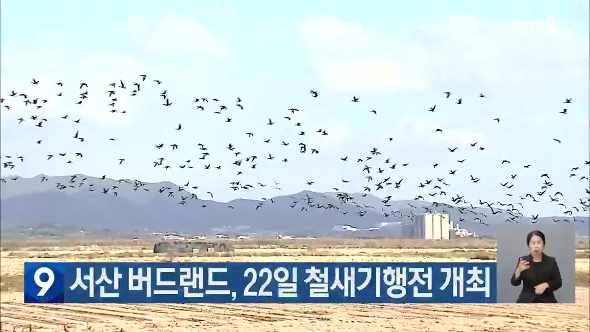 서산 버드랜드, 22일 철새기행전 개최