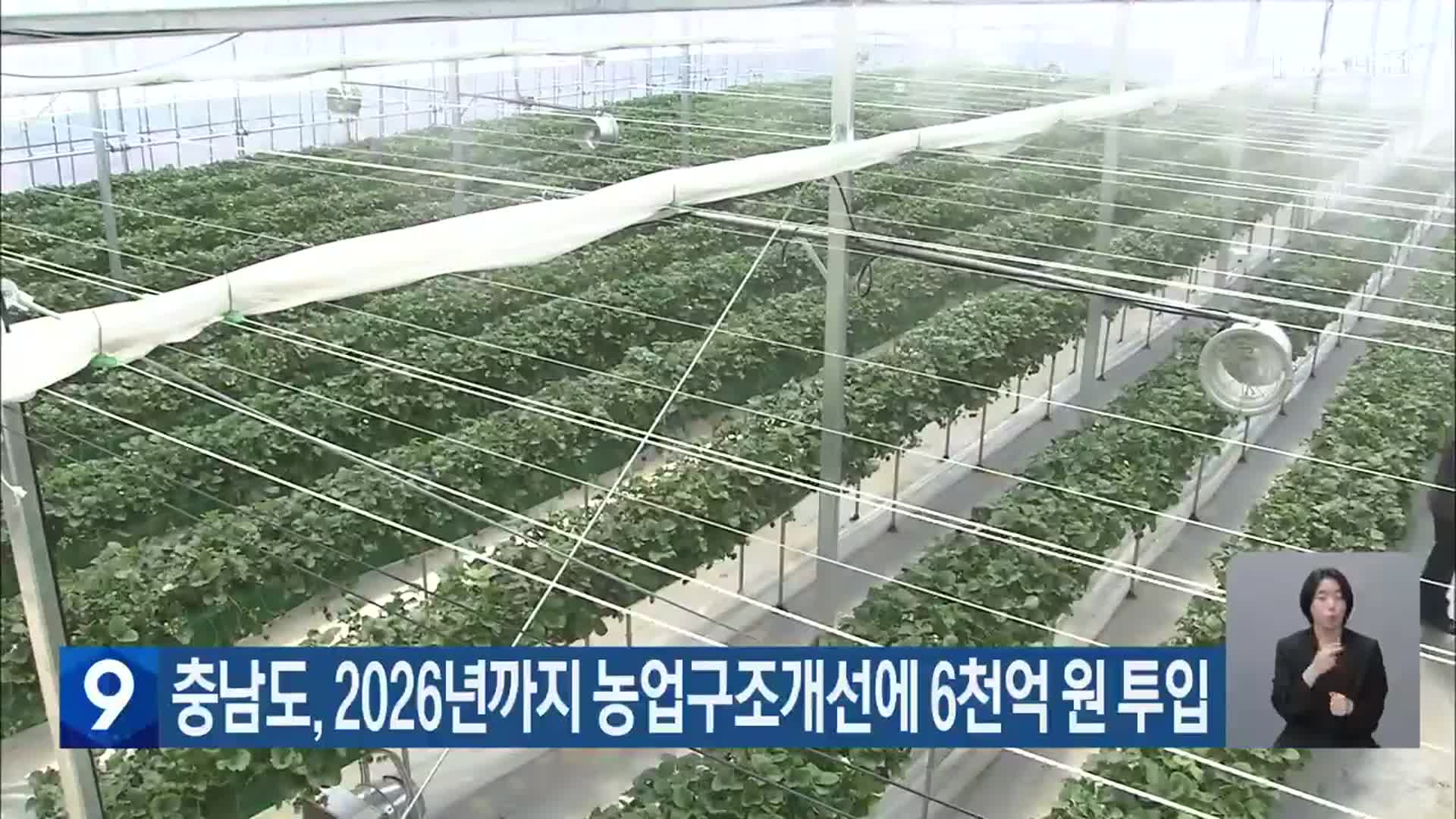 충남도, 2026년까지 농업구조개선에 6천억 원 투입