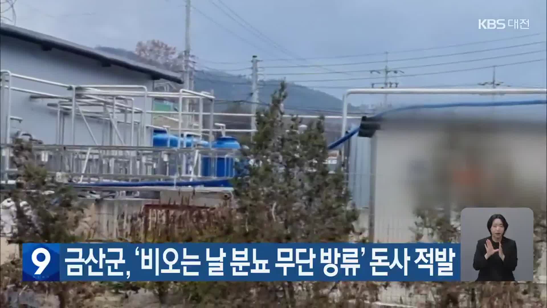 금산군, ‘비오는 날 분뇨 무단 방류’ 돈사 적발
