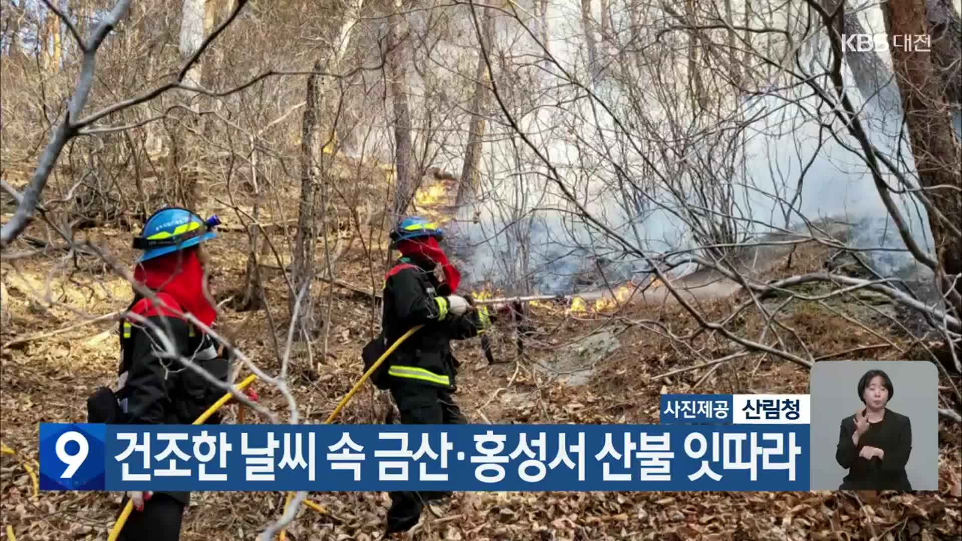 건조한 날씨 속 금산·홍성서 산불 잇따라