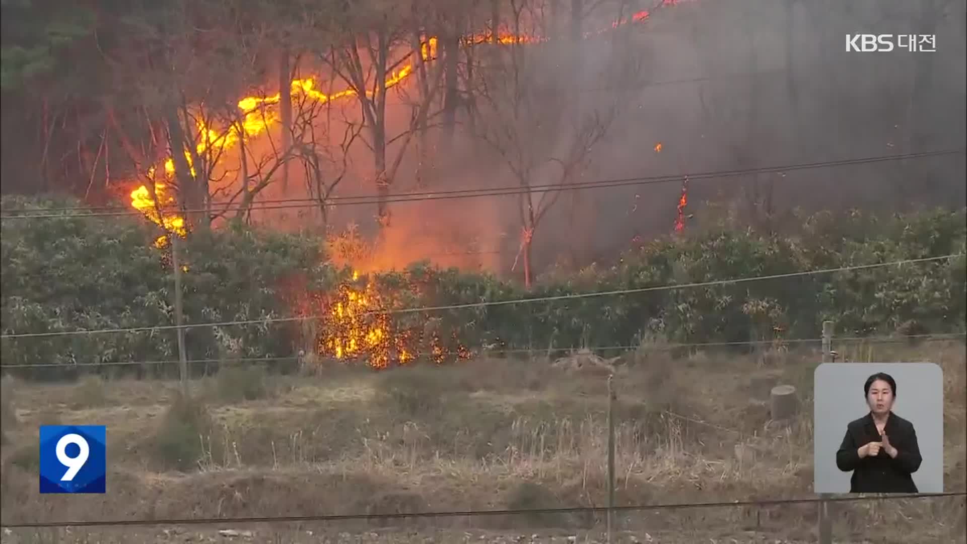 ‘산불 3단계’ 홍성·금산·대전 산불 50여 시간 만에 진화