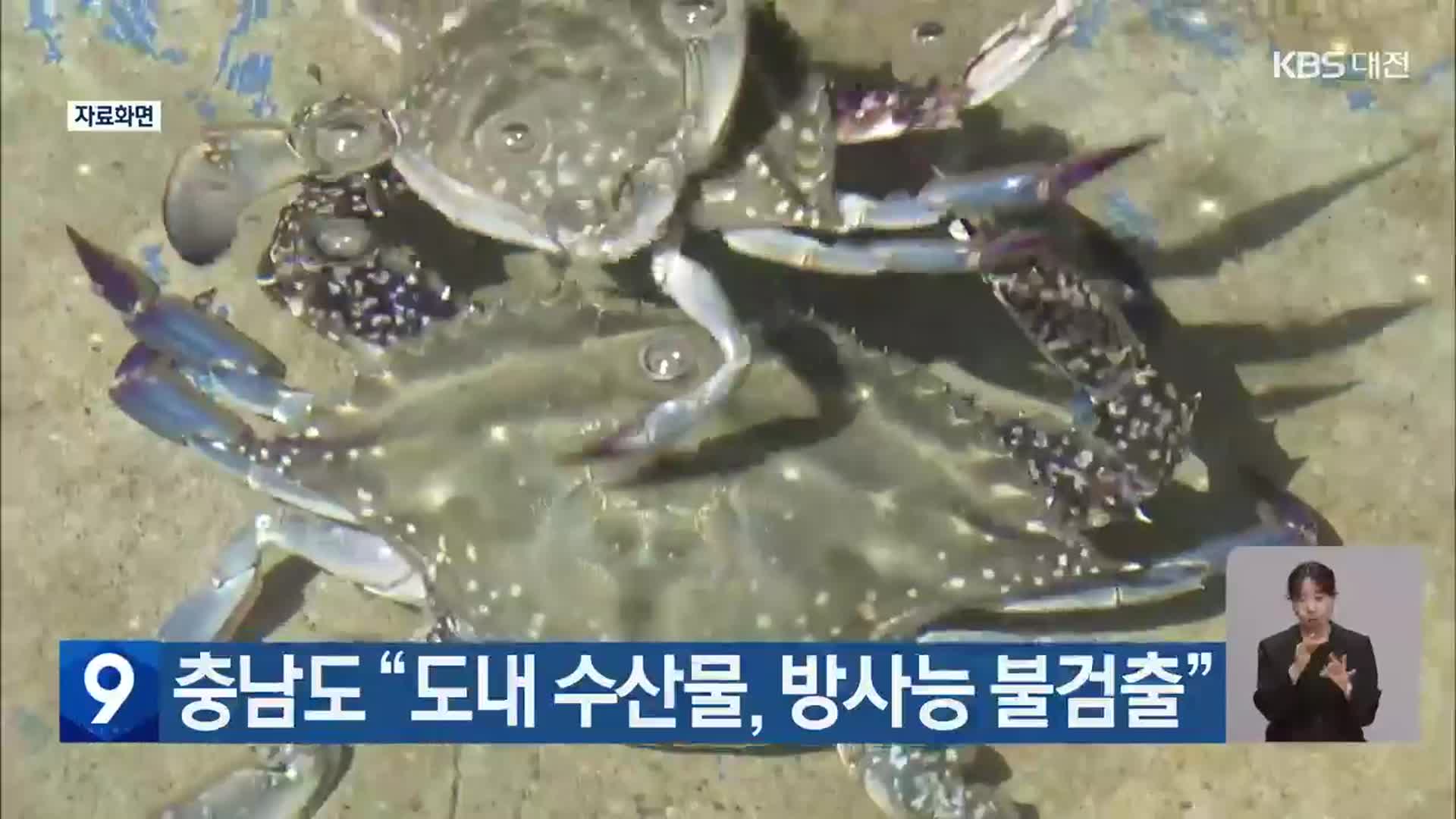 충남도 “도내 수산물, 방사능 불검출”