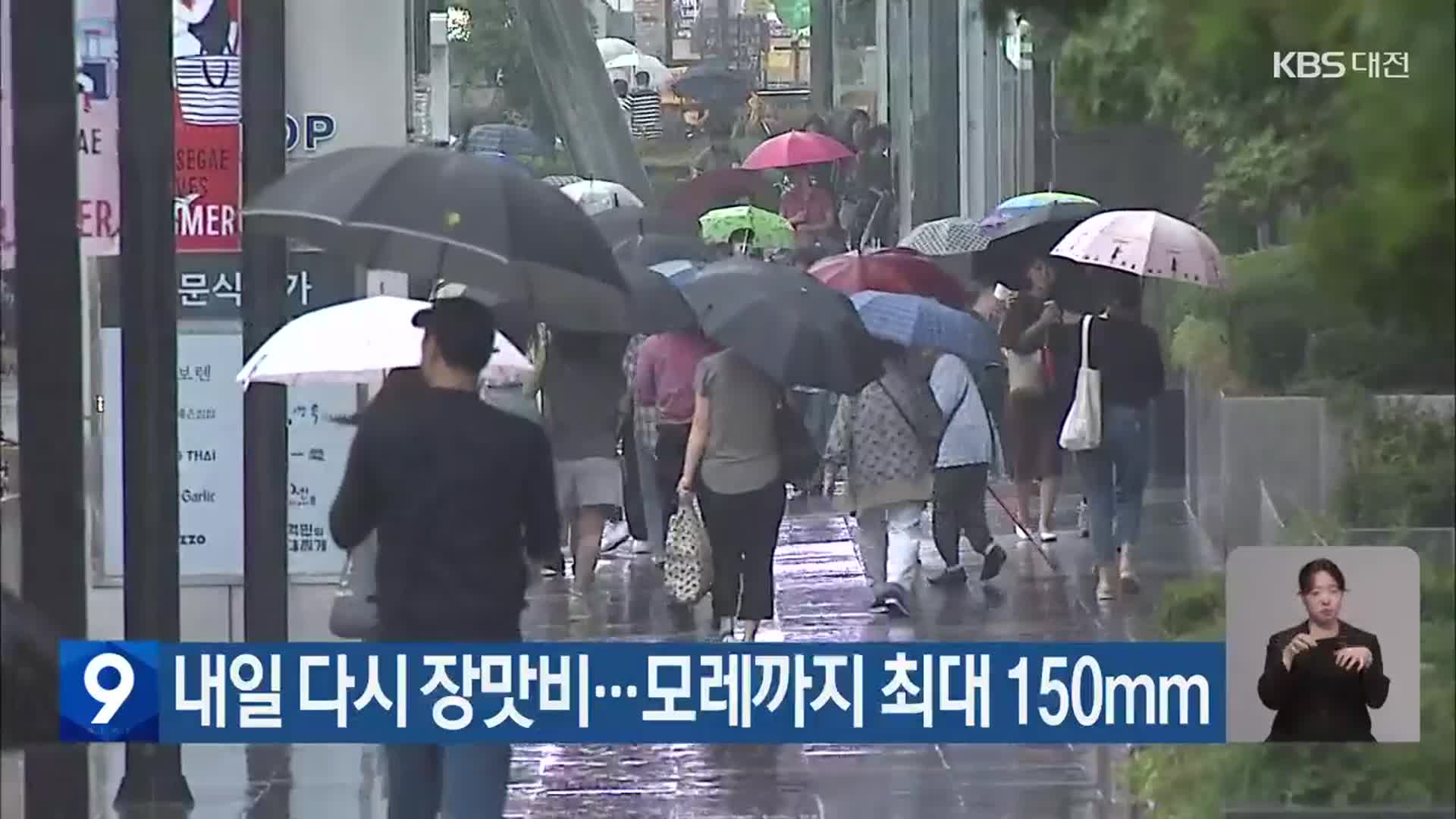 대전·세종·충남 내일 다시 장맛비…모레까지 최대 150mm