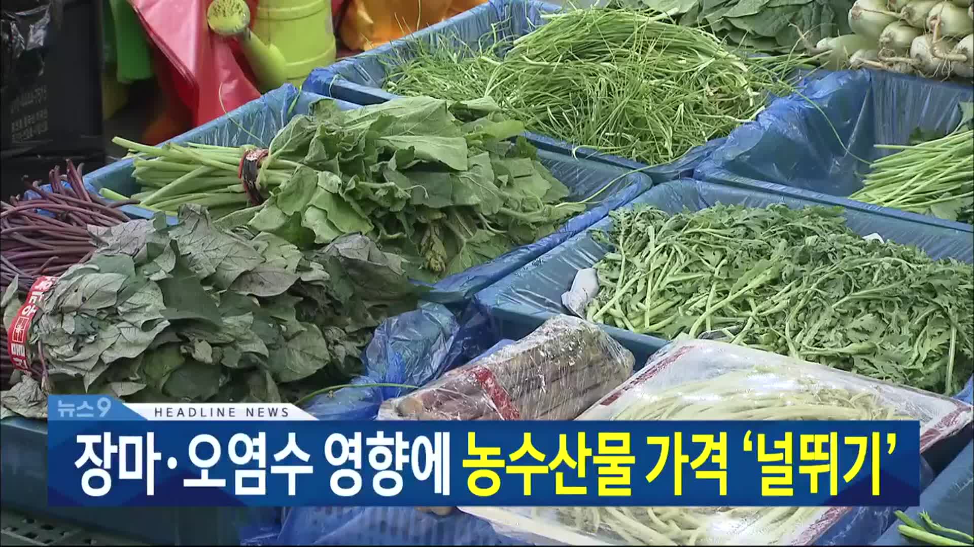 [뉴스9 대전·세종·충남 헤드라인]