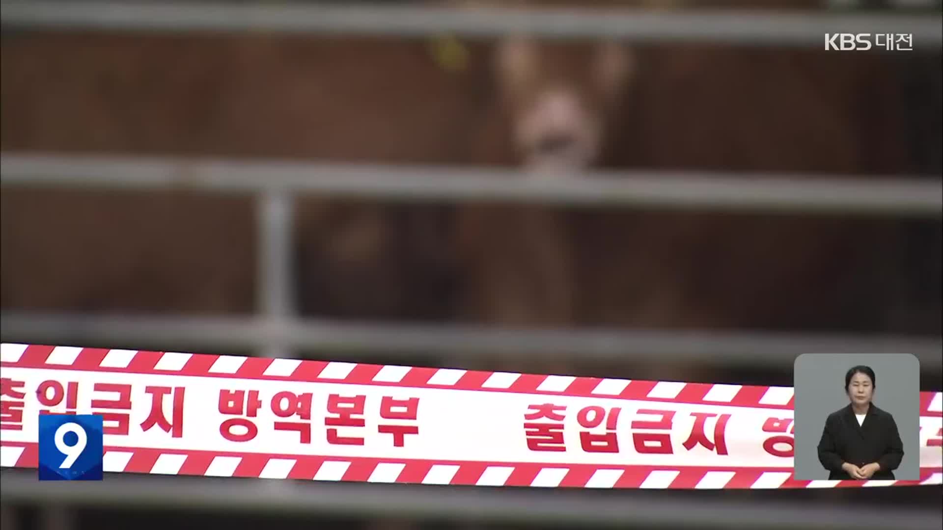 서산·태안 4개 농장서 럼피스킨병 추가 발생