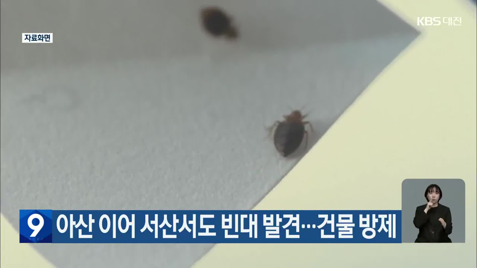 아산 이어 서산서도 빈대 발견…건물 방제