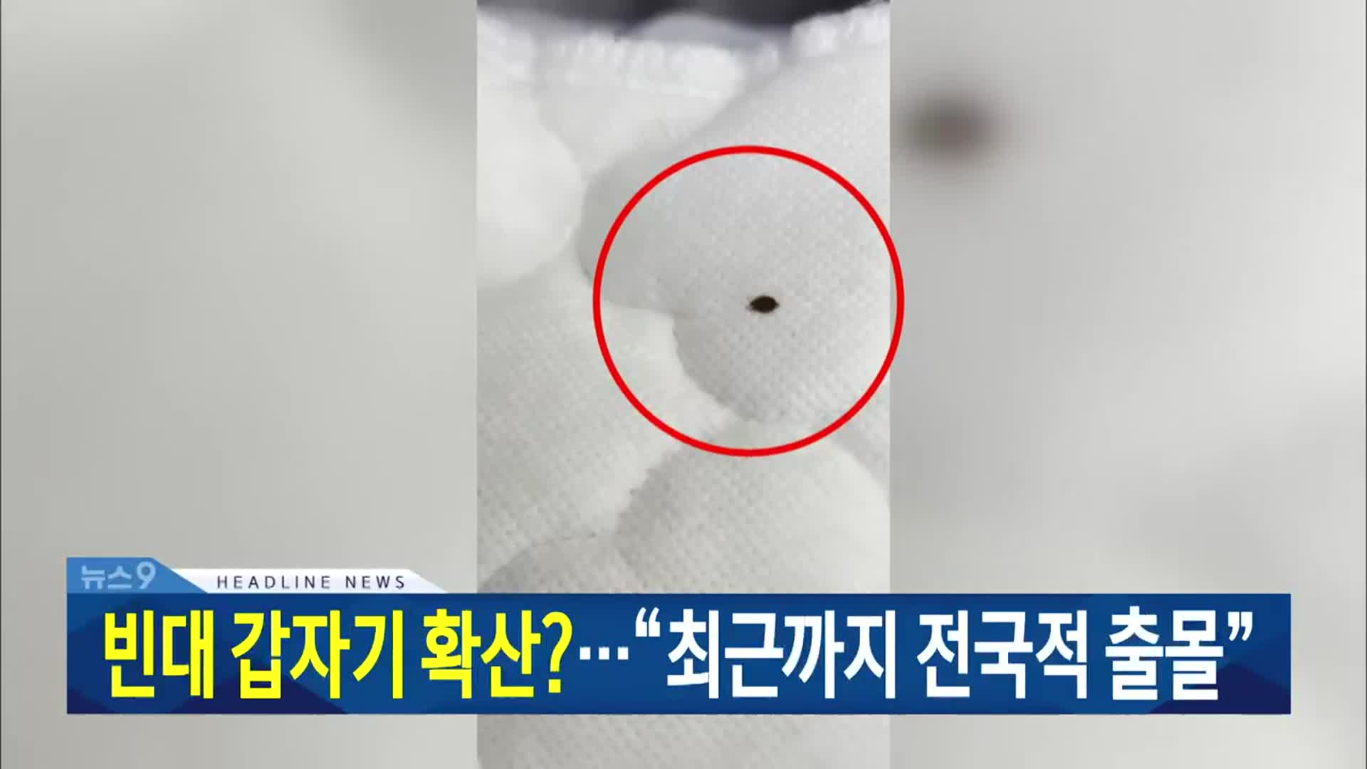[뉴스9 대전·세종·충남 헤드라인]