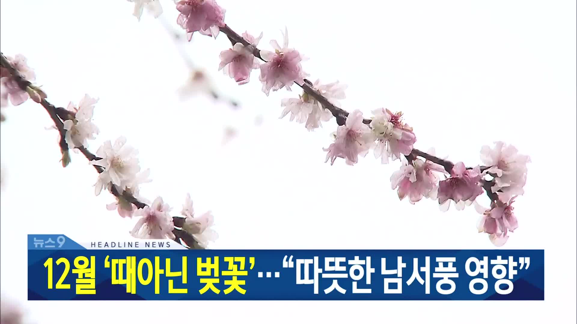 [뉴스9 대전·세종·충남 헤드라인]