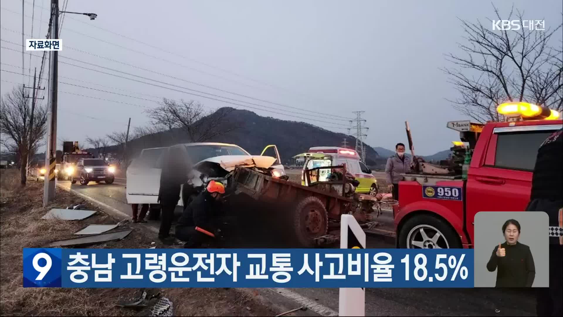 충남 고령운전자 교통 사고비율 18.5%