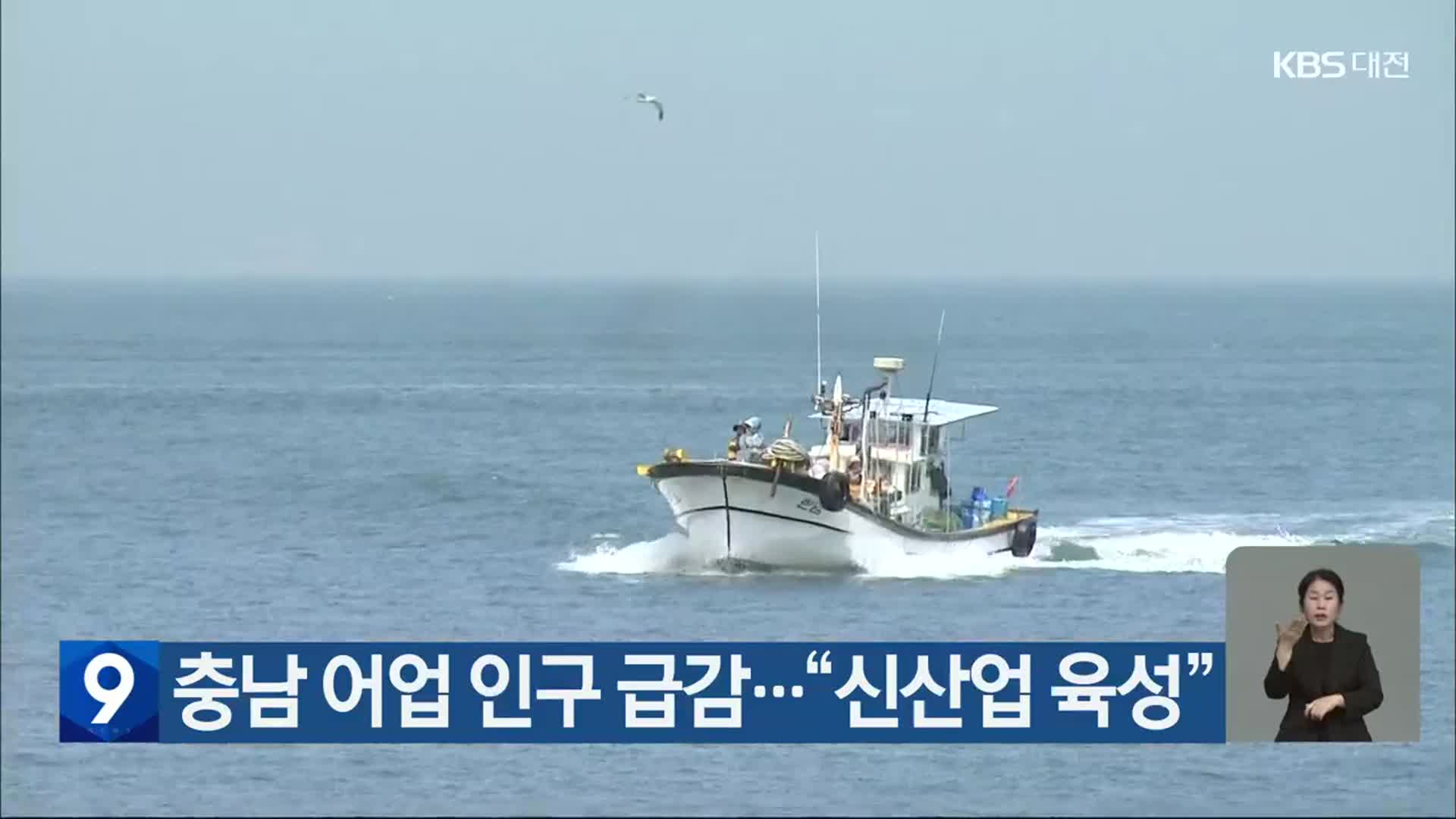 충남 어업 인구 급감…“신산업 육성”