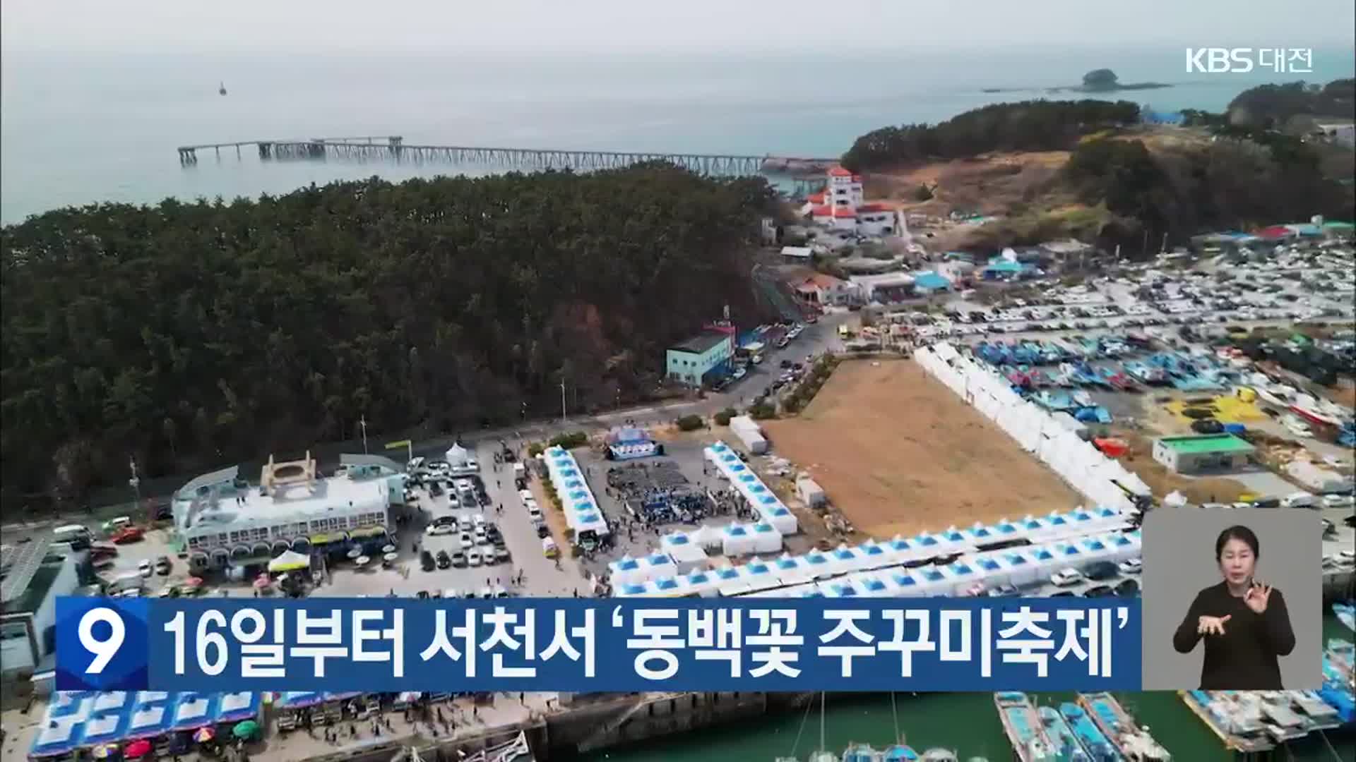 16일부터 서천서 ‘동백꽃 주꾸미축제’