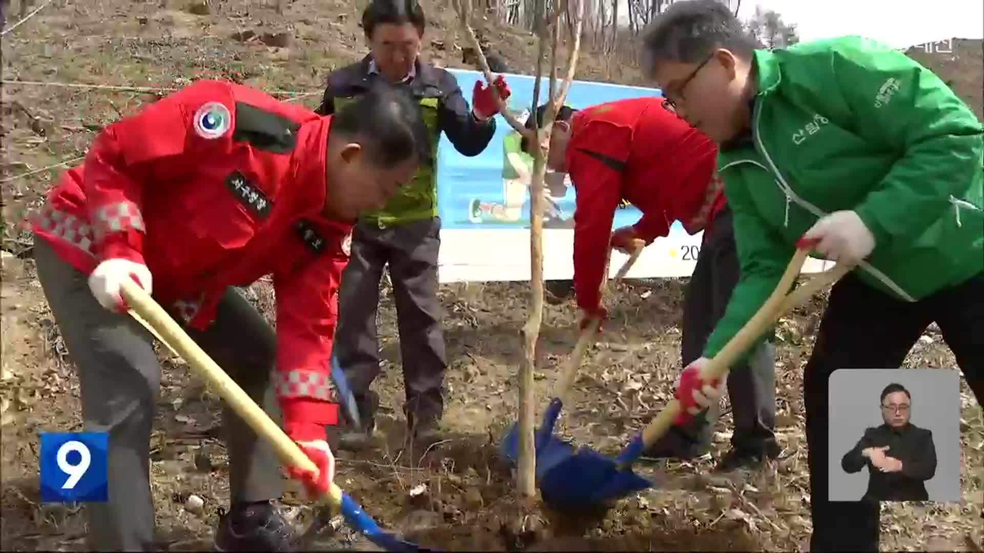 홍성 산불 1년…희망을 다시 심다