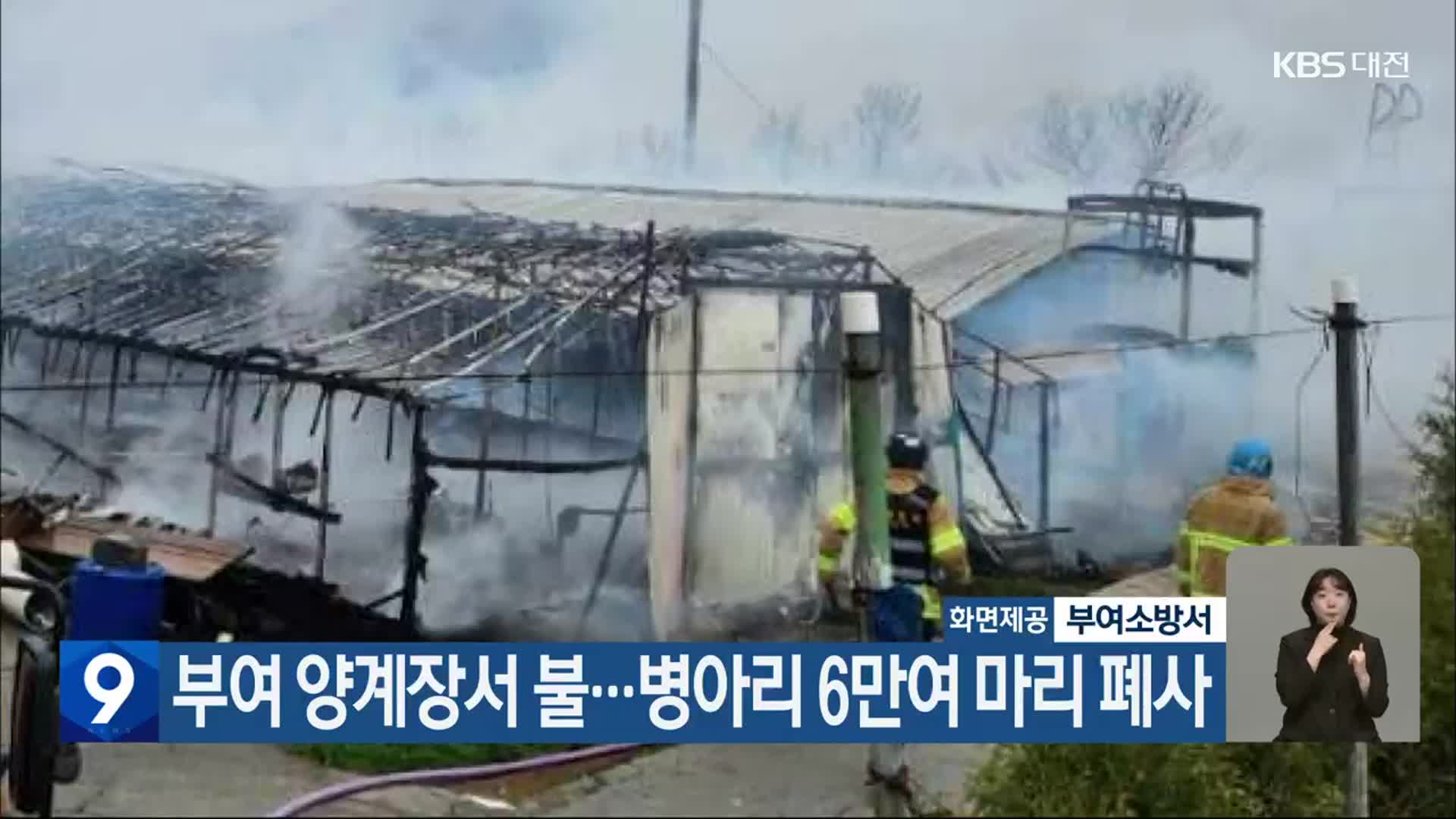 부여 양계장서 불…병아리 6만여 마리 폐사