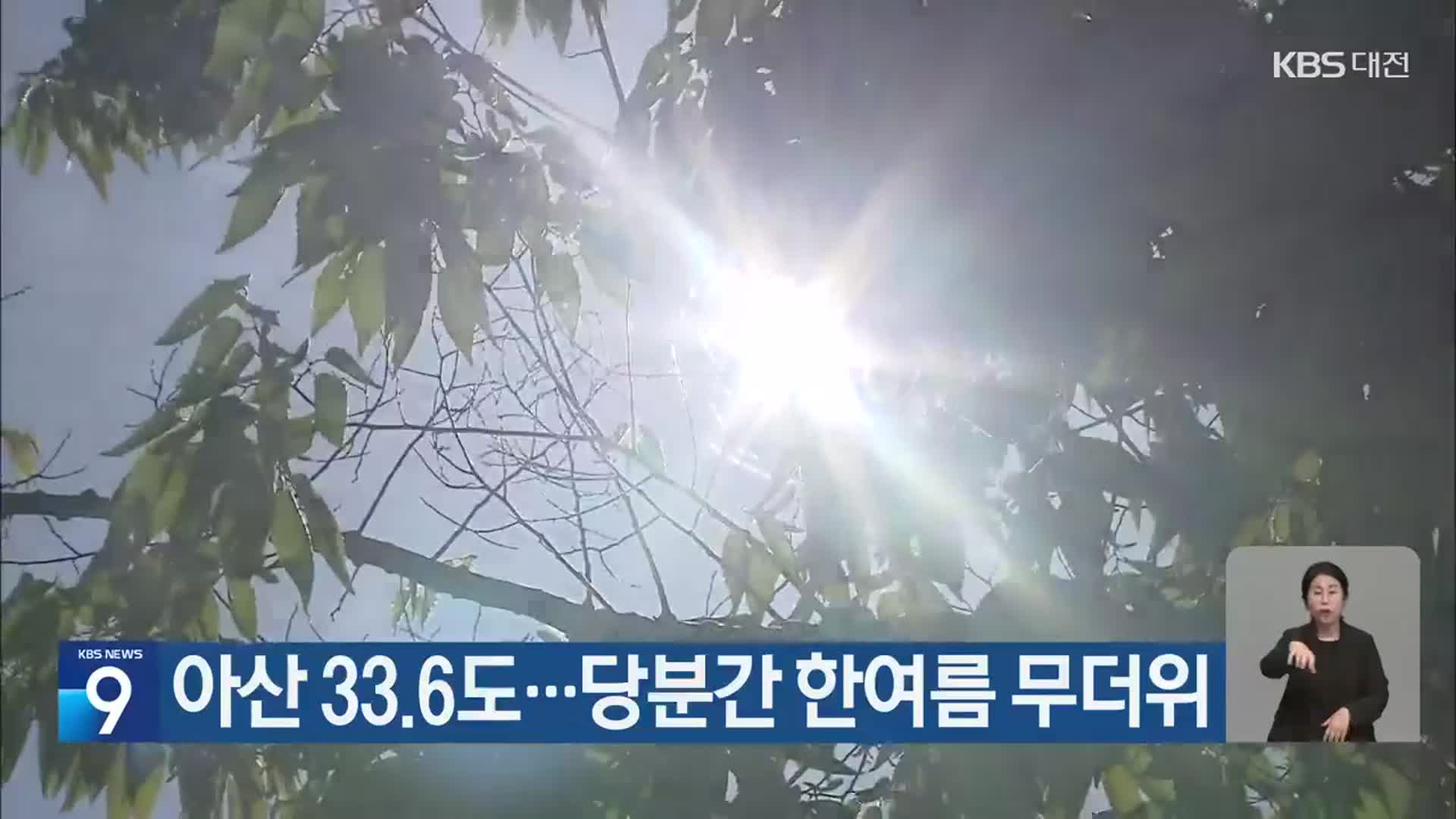 아산 33.6도…대전·세종·충남 당분간 한여름 무더위