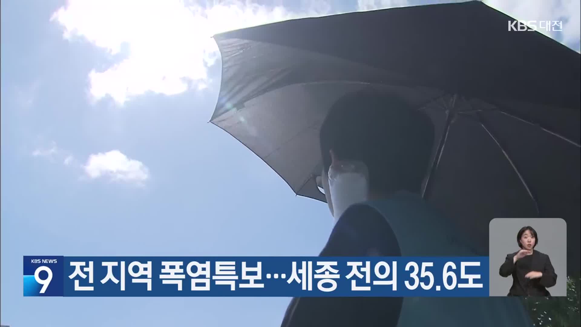 대전·세종·충남 전역 폭염특보…세종 전의 35.6도