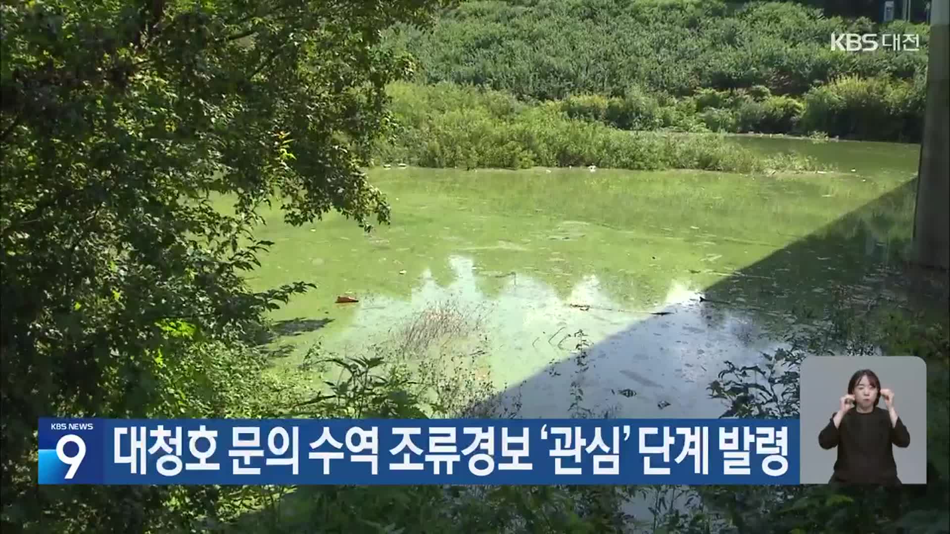 대청호 문의 수역 조류경보 ‘관심’ 단계 발령