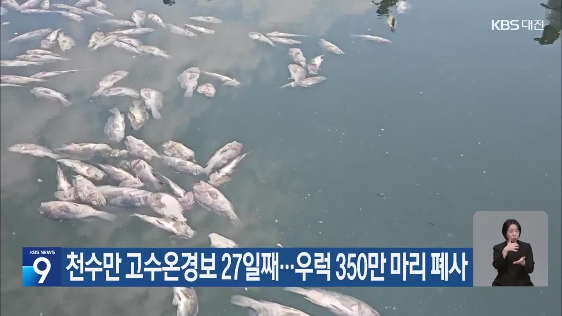 천수만 고수온경보 27일째…우럭 350만 마리 폐사