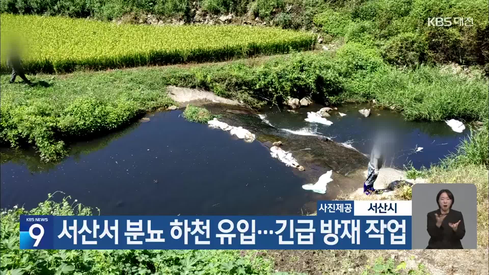 서산서 분뇨 하천 유입…긴급 방재 작업