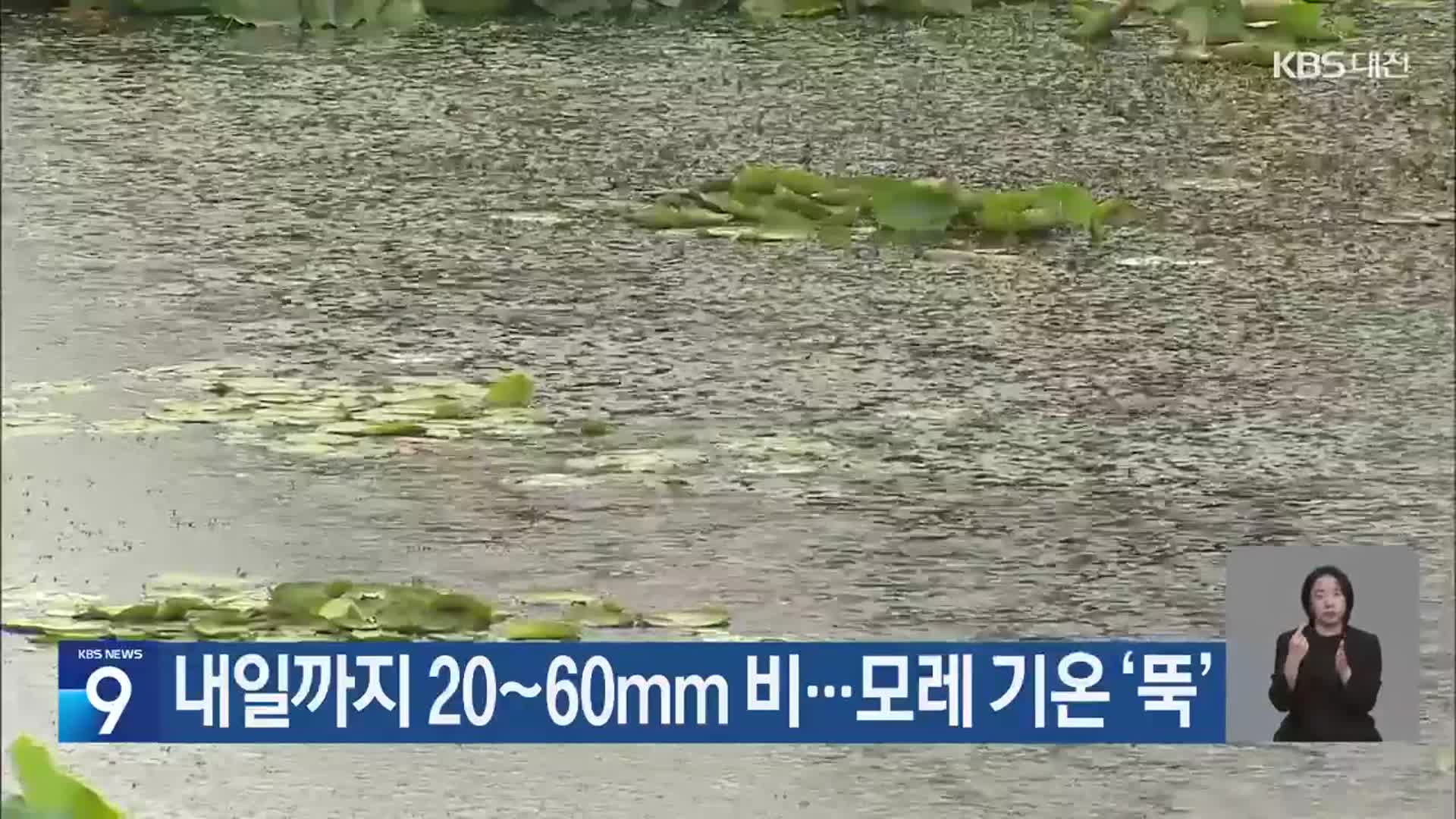 대전·세종·충남 내일까지 20~60mm 비…모레 기온 ‘뚝’