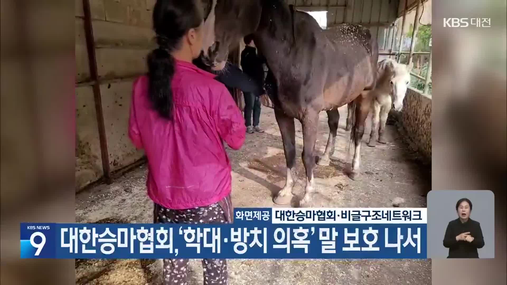 대한승마협회, ‘학대·방치 의혹’ 말 보호 나서