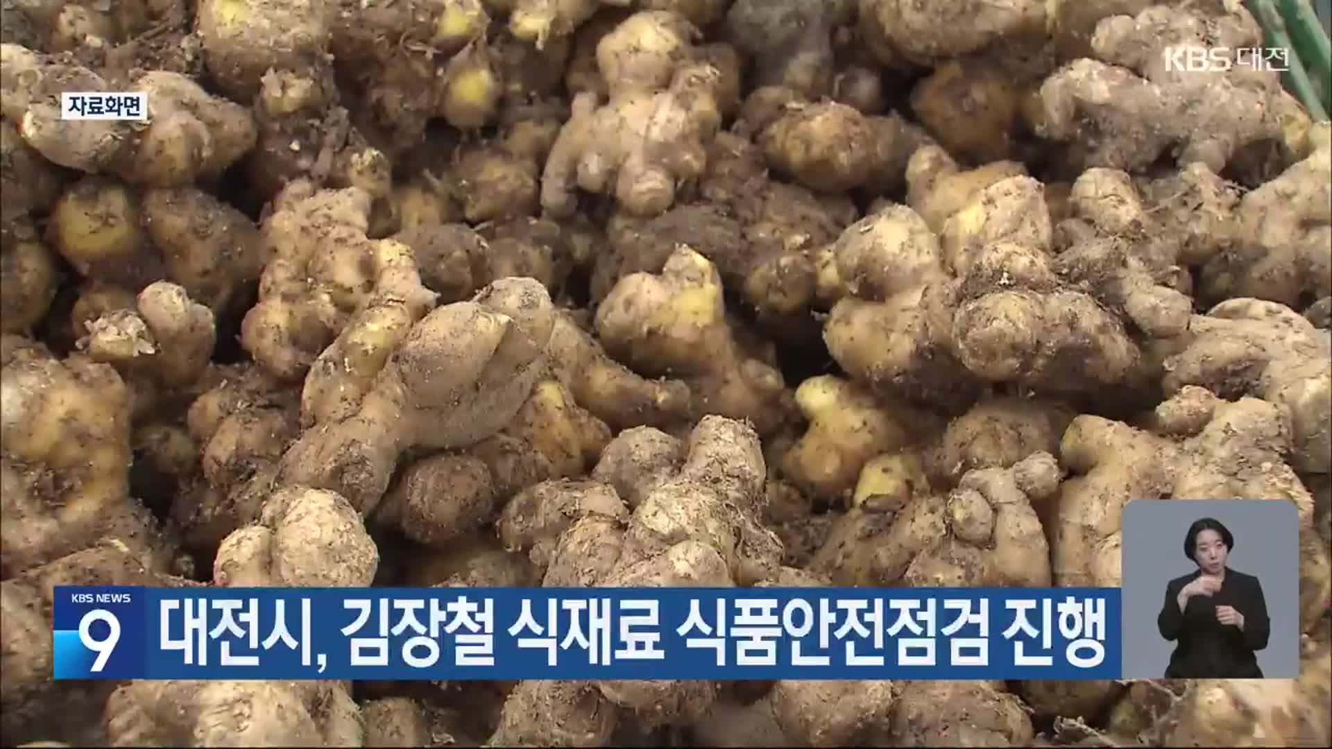 대전시, 김장철 식재료 식품안전점검 진행