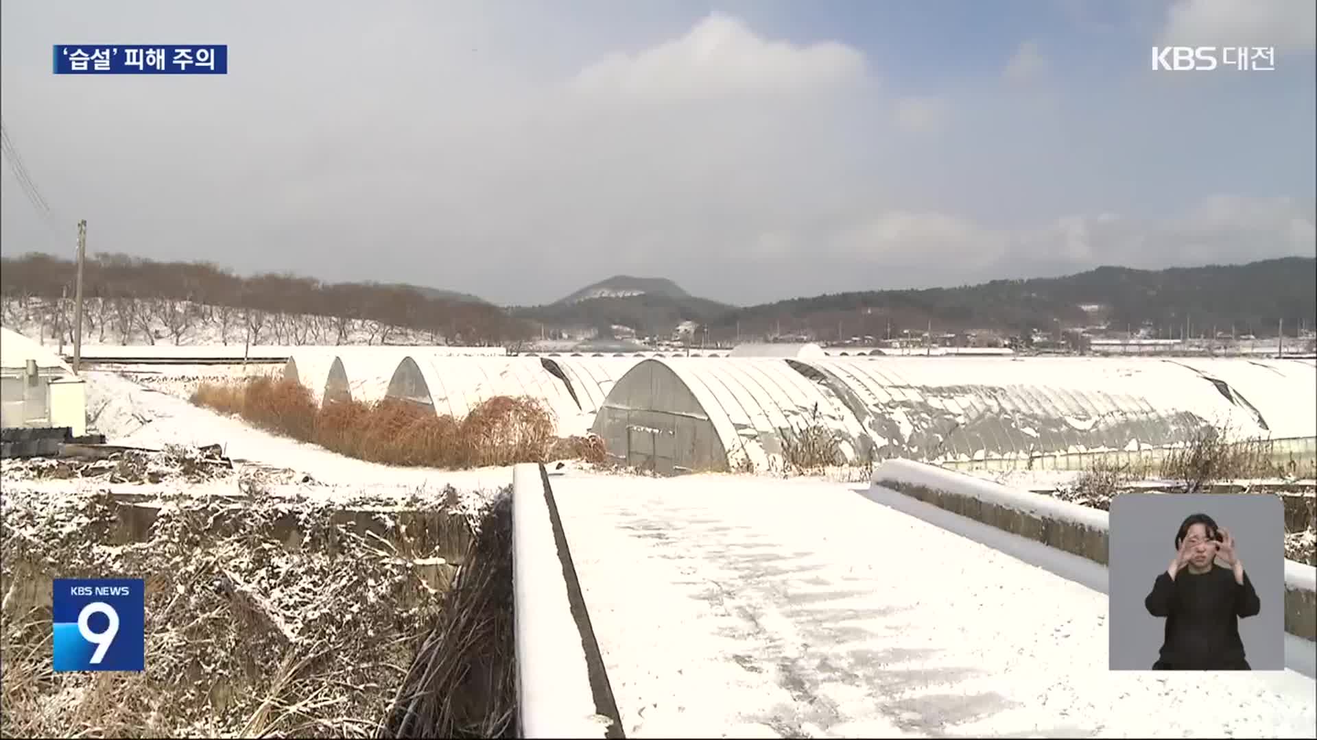 천안 직산 16cm 눈…내일까지 최대 10cm 더 와