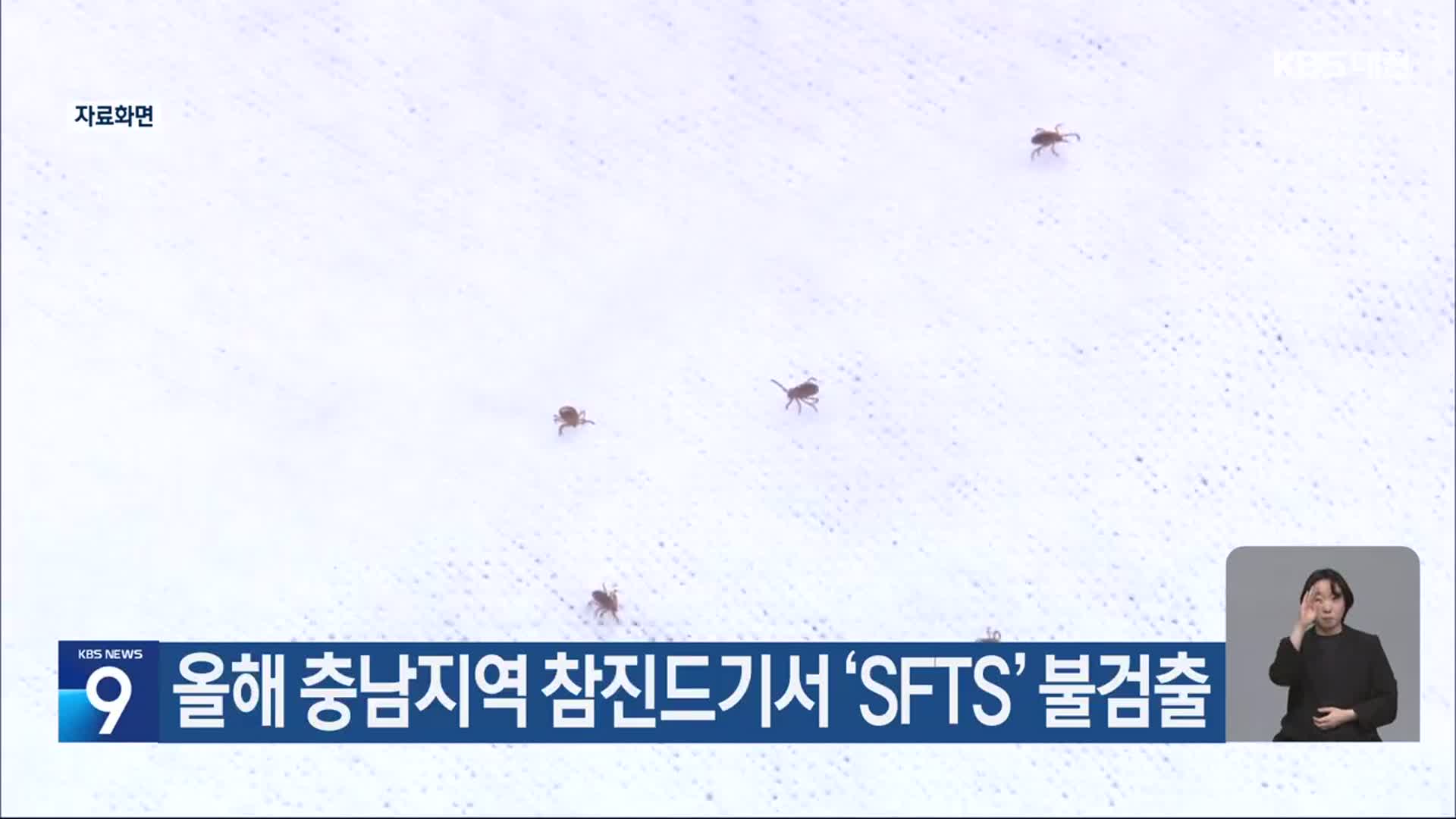 올해 충남지역 참진드기서 ‘SFTS’ 불검출