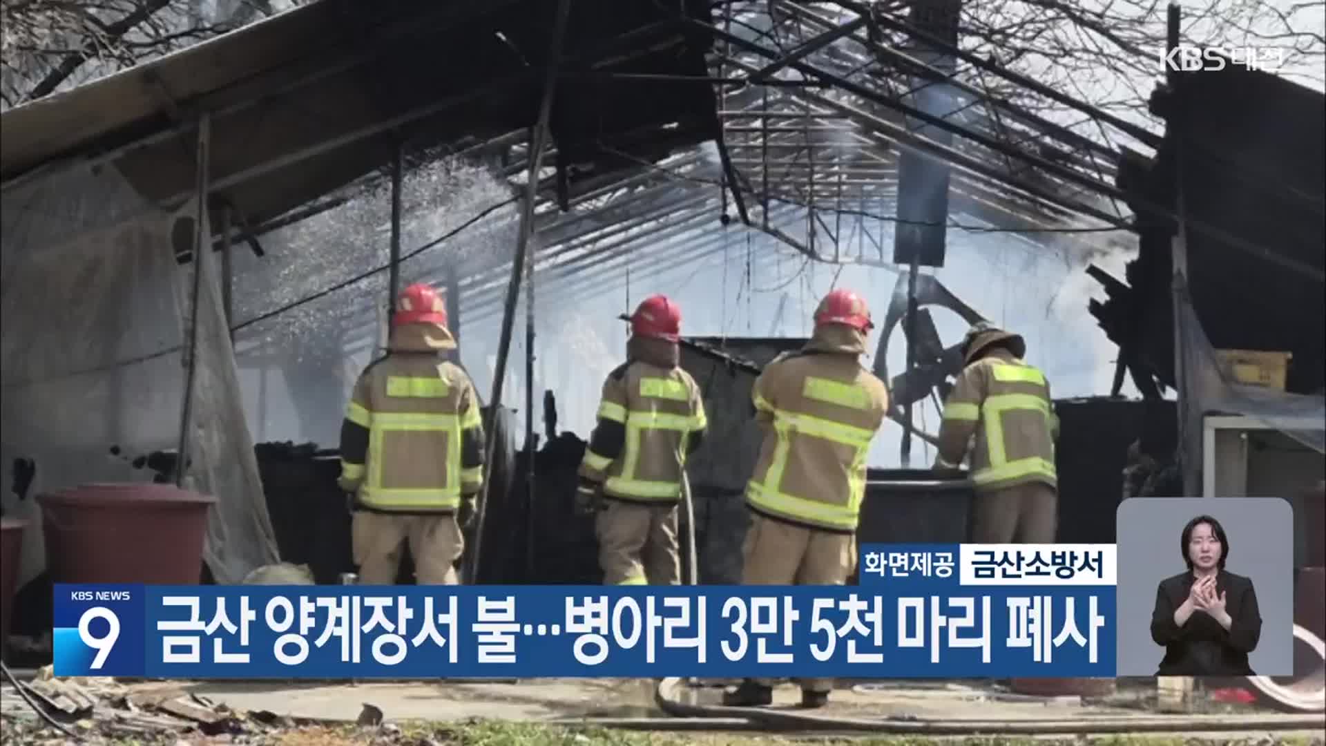 금산 양계장서 불…병아리 3만 5천 마리 폐사