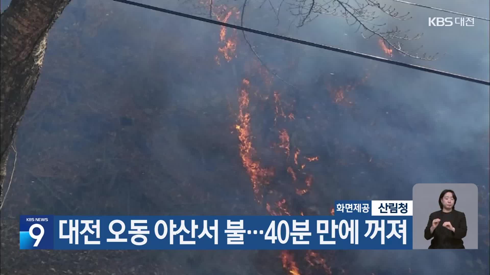 대전 오동 야산서 불…40분 만에 꺼져