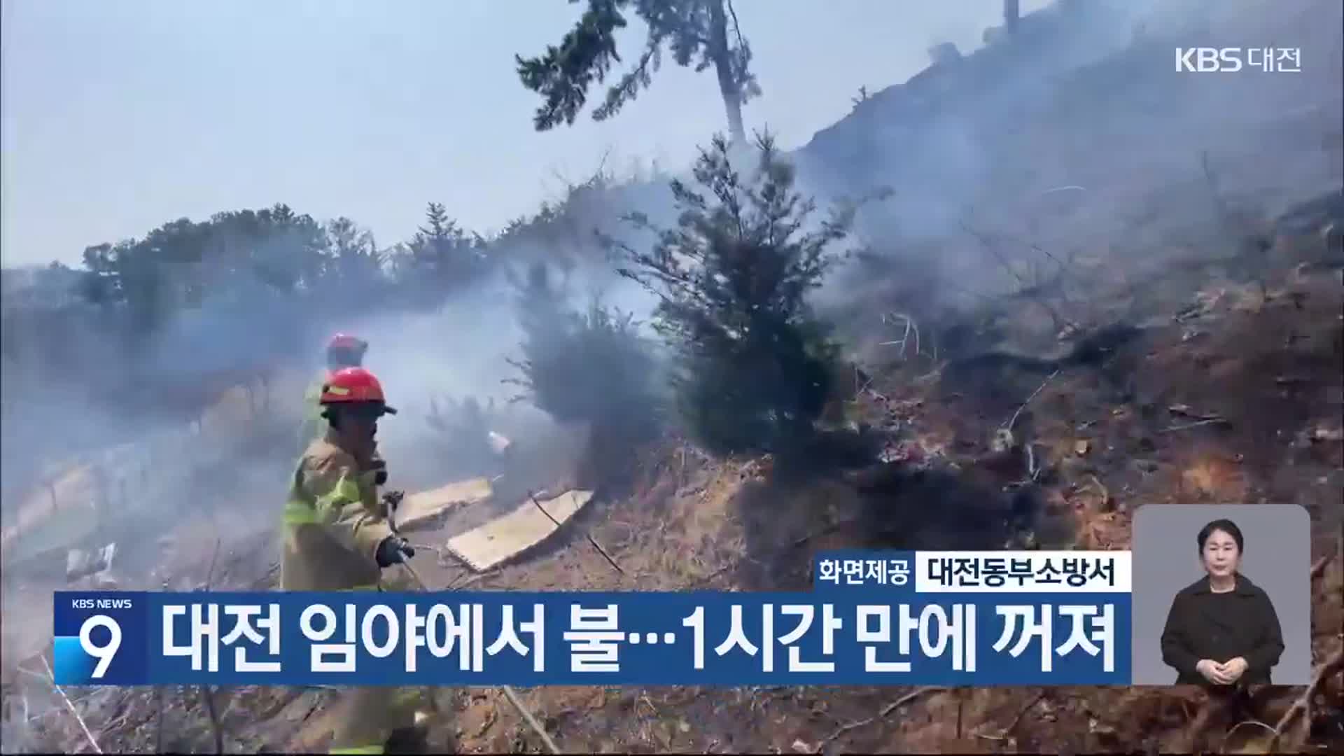 대전 임야에서 불…1시간 만에 꺼져