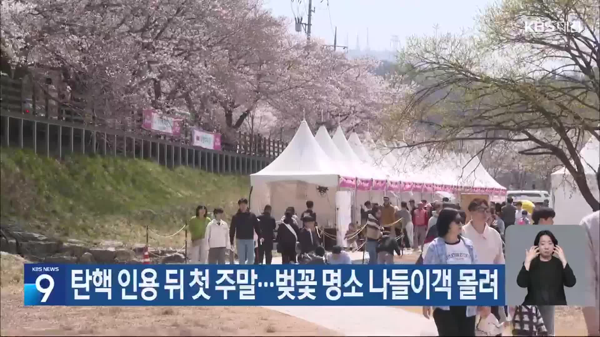 탄핵 인용 뒤 첫 주말…벚꽃 명소 나들이객 몰려
