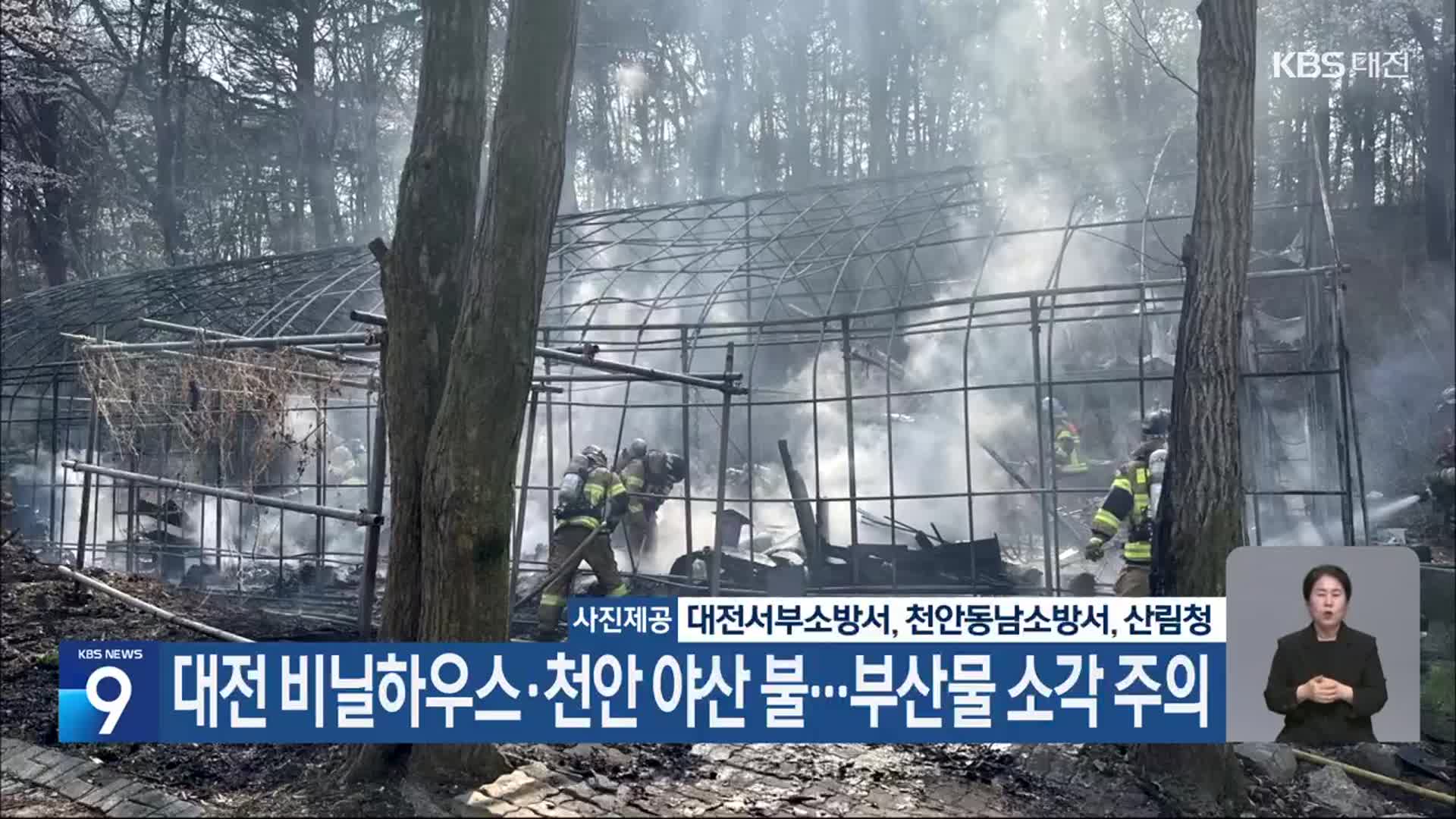 대전 비닐하우스·천안 야산 불…부산물 소각 주의