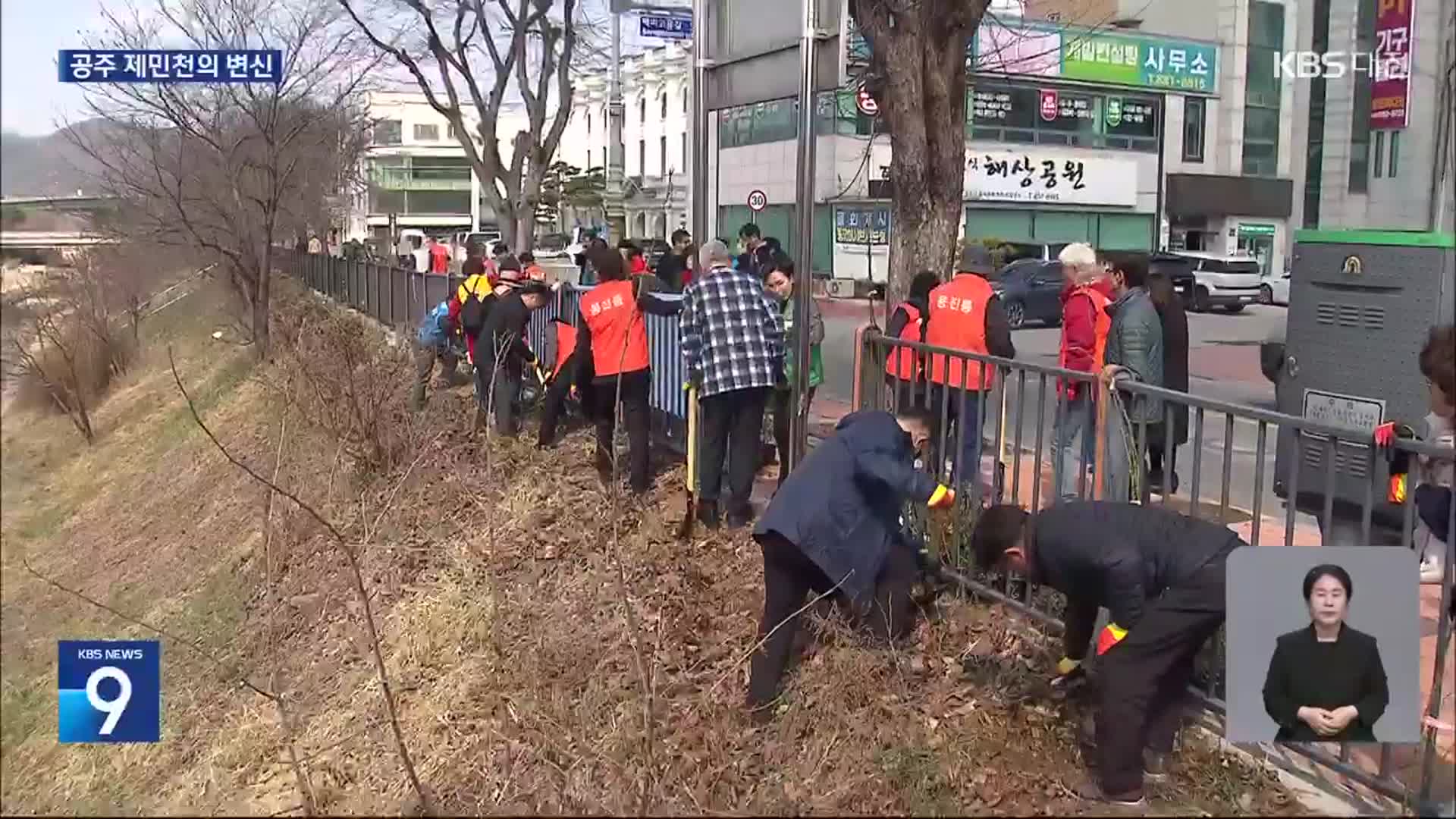 ‘걷기 좋은 힐링코스’ 제민천 장미꽃길 단장