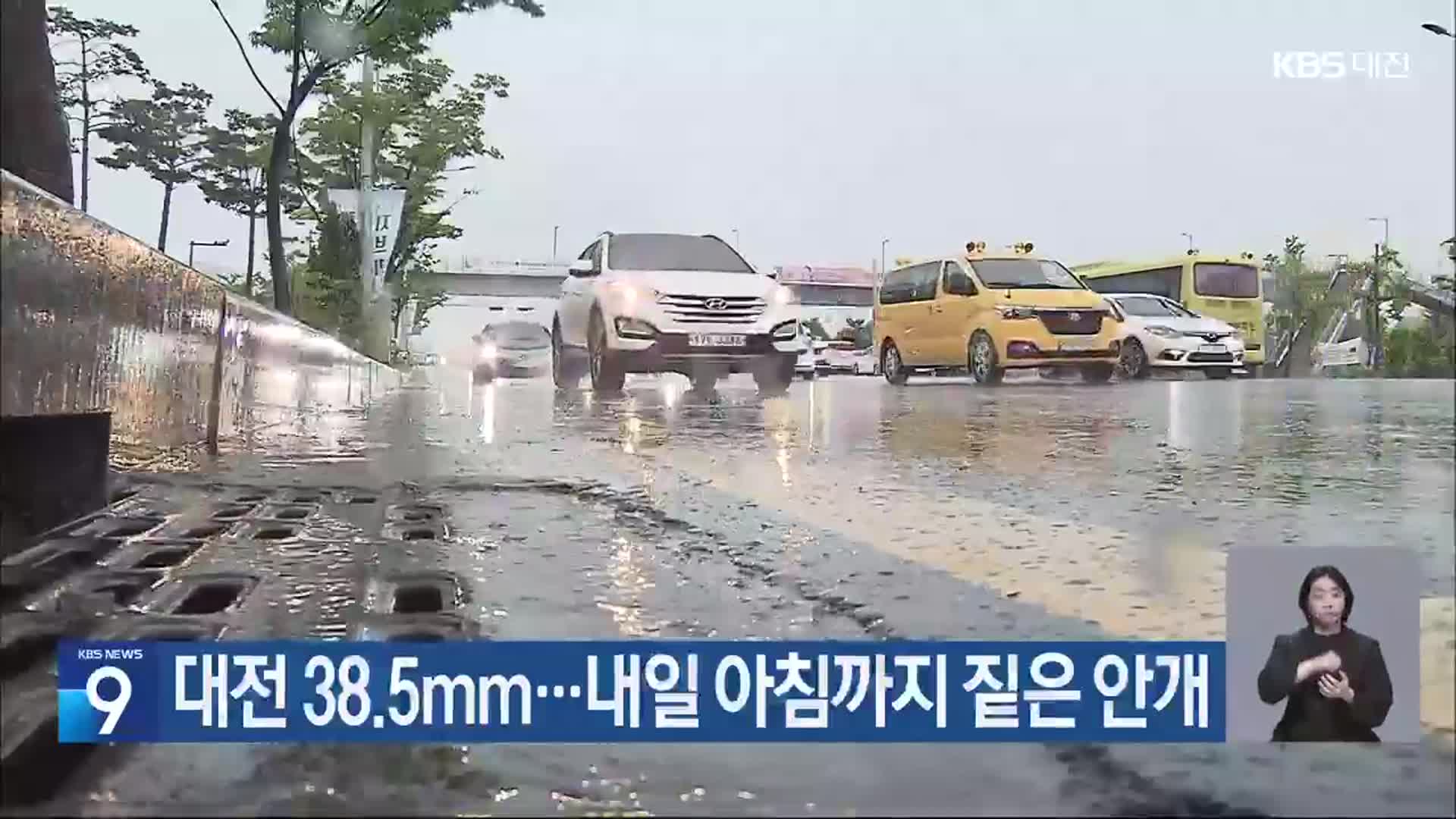 대전 38.5mm…내일 아침까지 짙은 안개