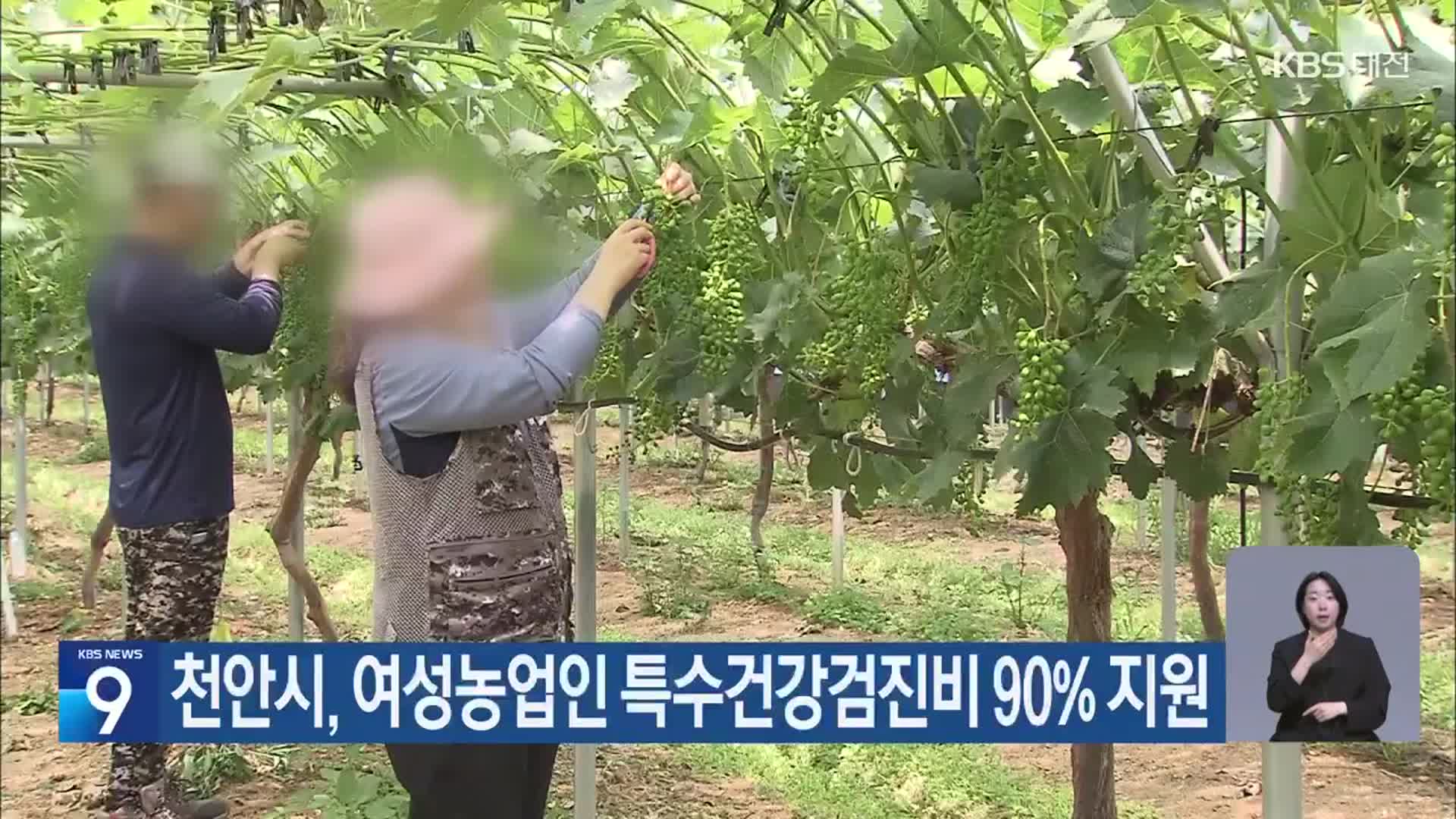 천안시, 여성농업인 특수건강검진비 90% 지원