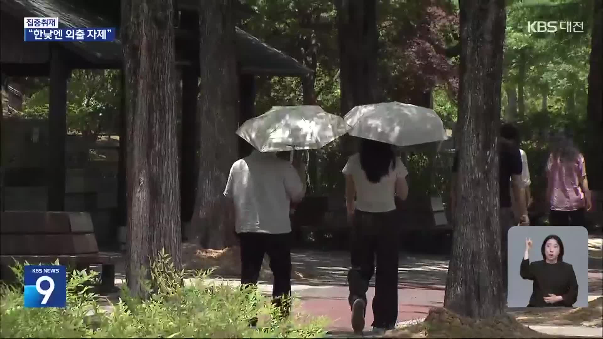 [집중취재] 폭염에 고농도 오존 발령 증가…“야외 활동 자제해야”