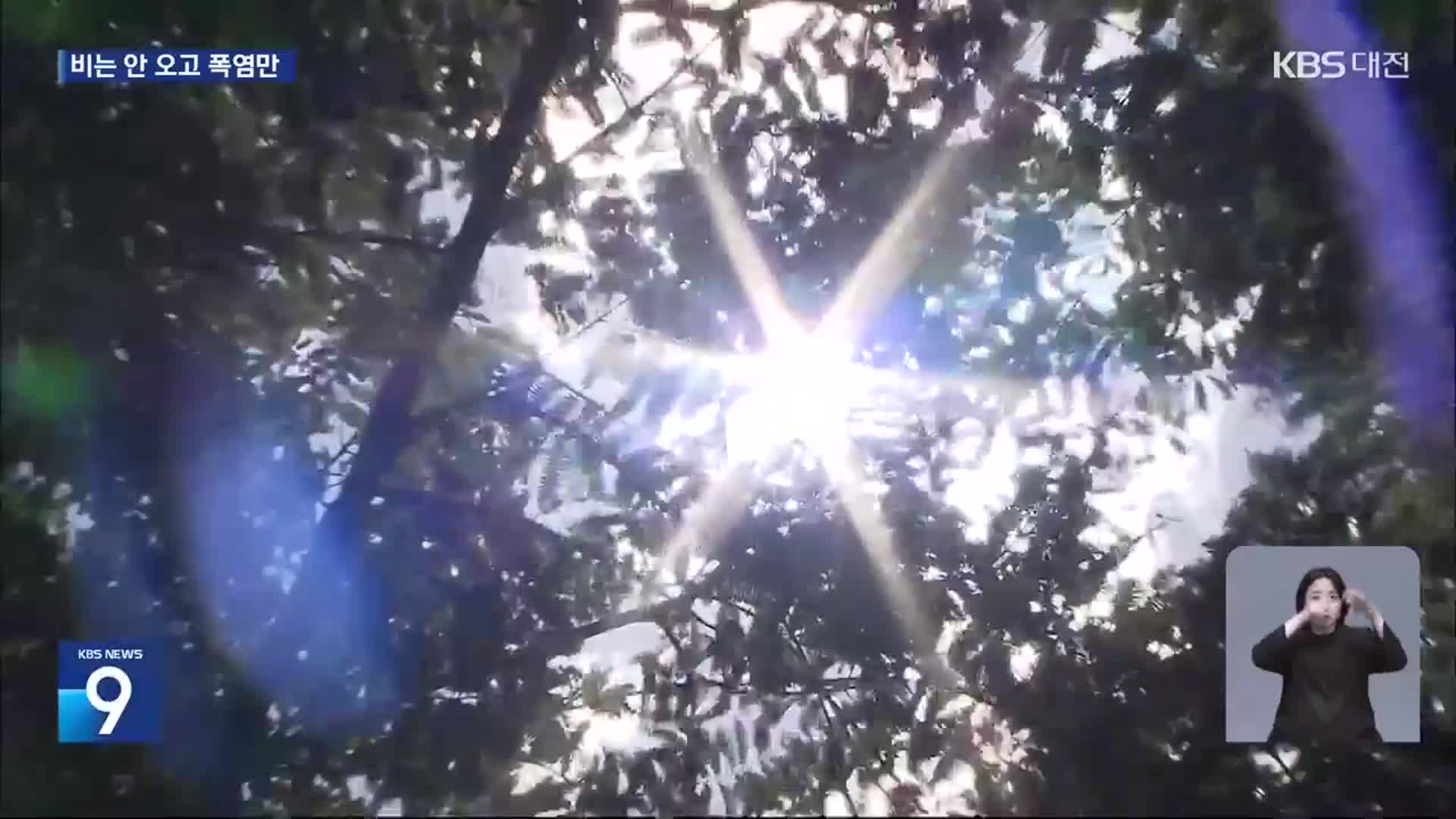 비는 커녕 불볕더위만…폭염 피해 확산 우려