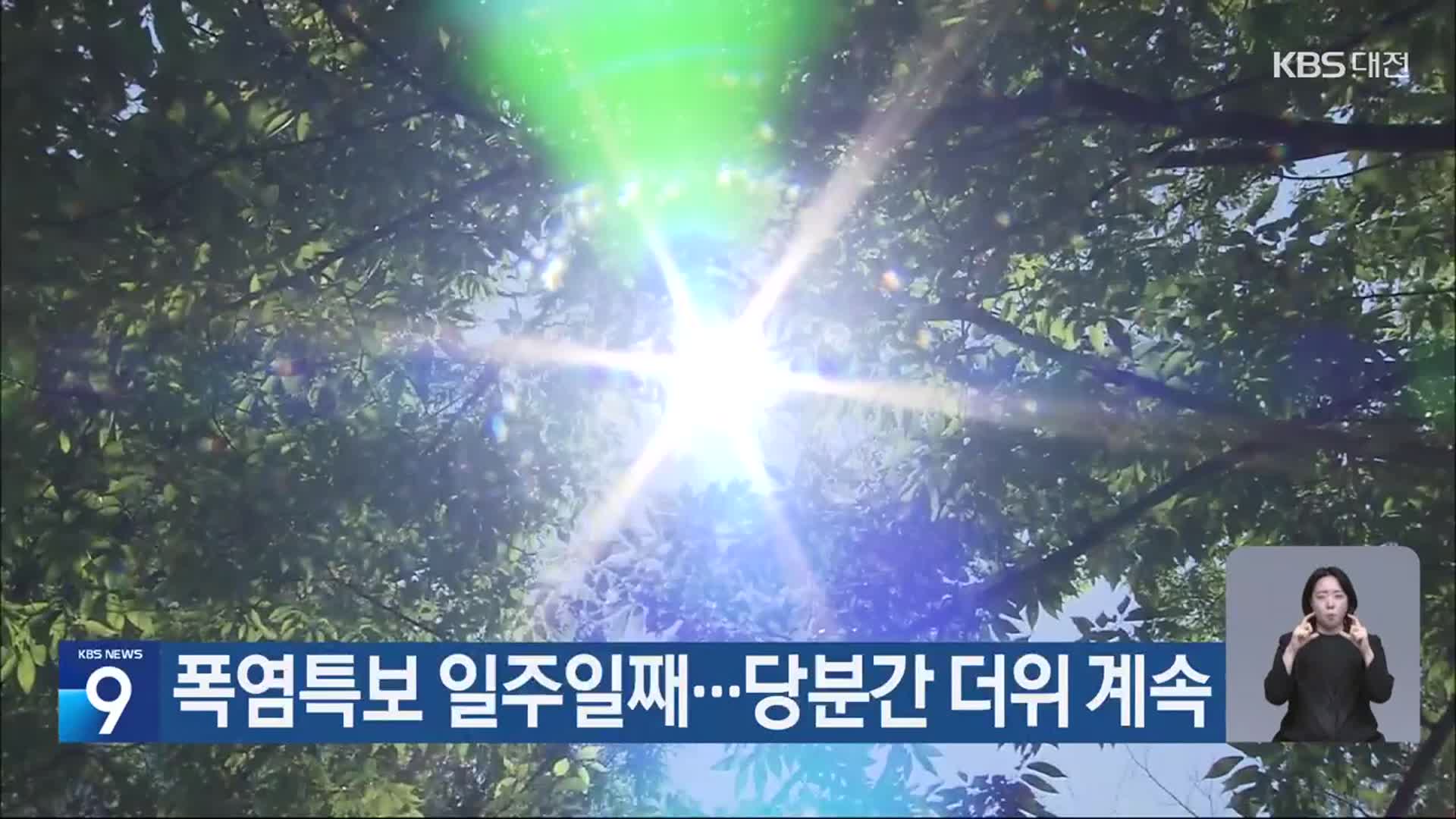 대전·세종·충남 폭염특보 일주일째…당분간 더위 계속
