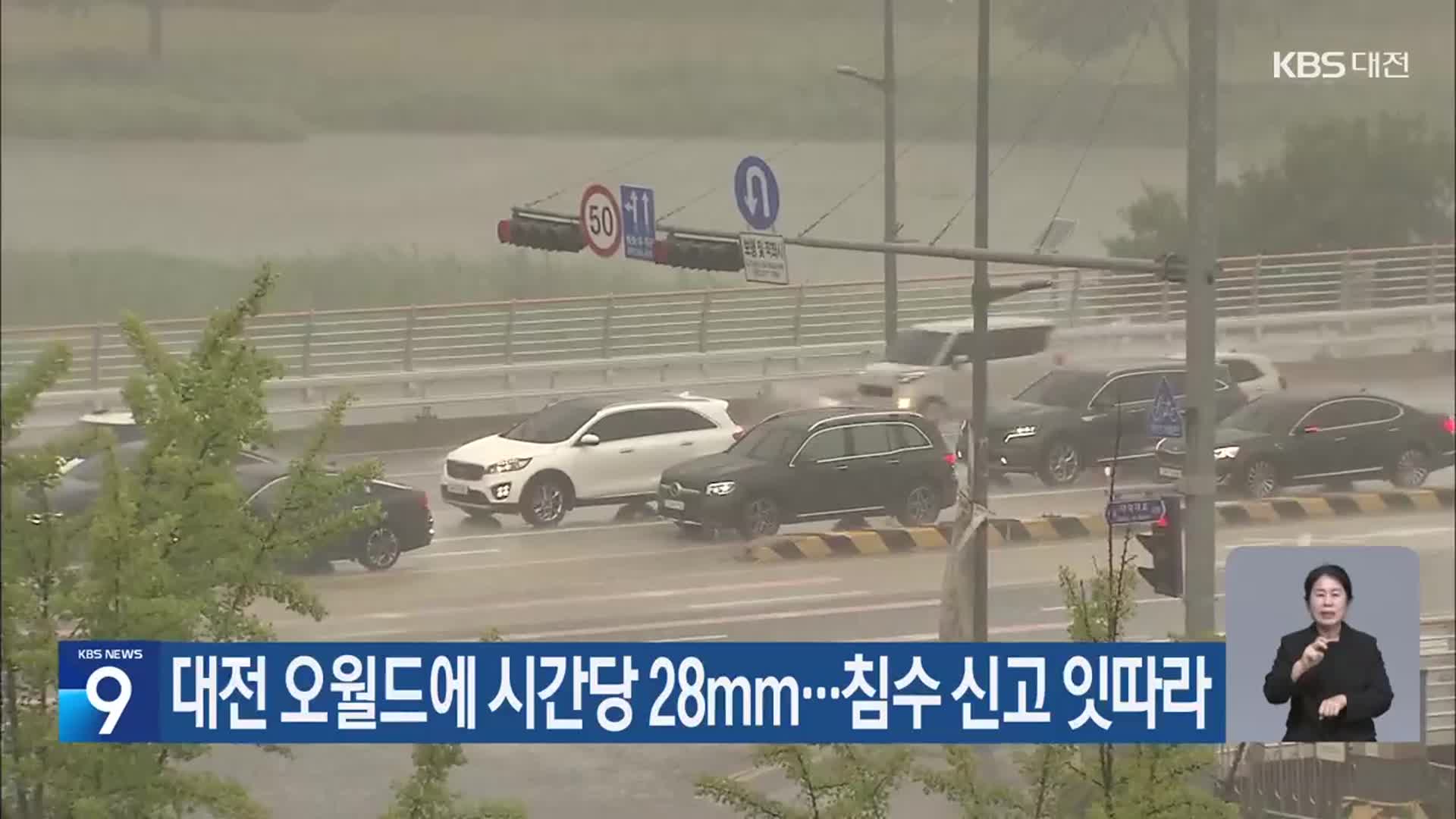 대전 오월드에 시간당 28mm…침수 신고 잇따라