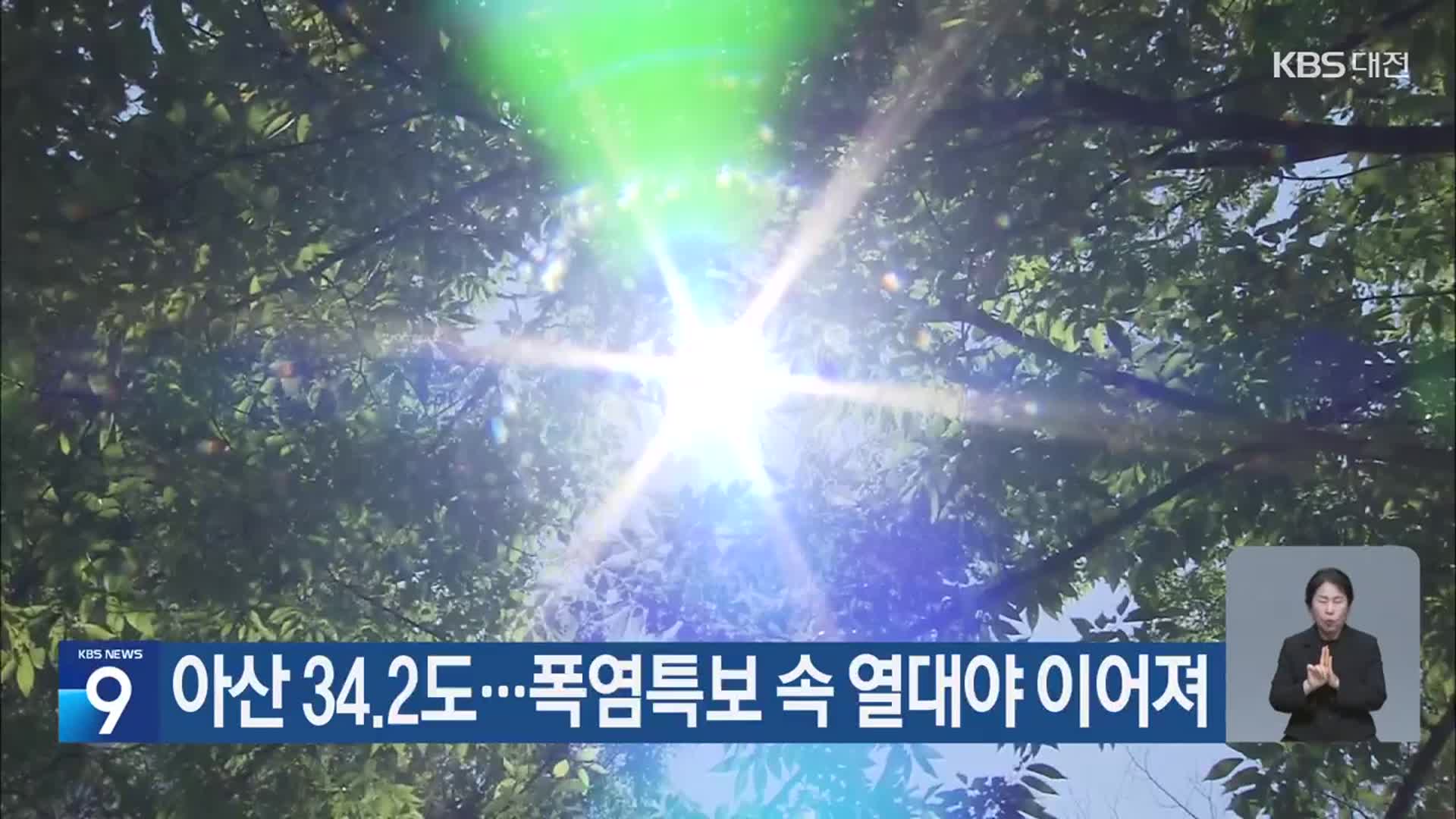 아산 34.2도…대전·세종·충남 폭염특보 속 열대야 이어져