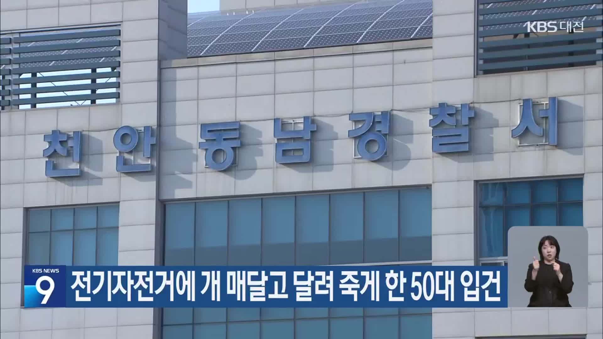 전기자전거에 개 매달고 달려 죽게 한 50대 입건