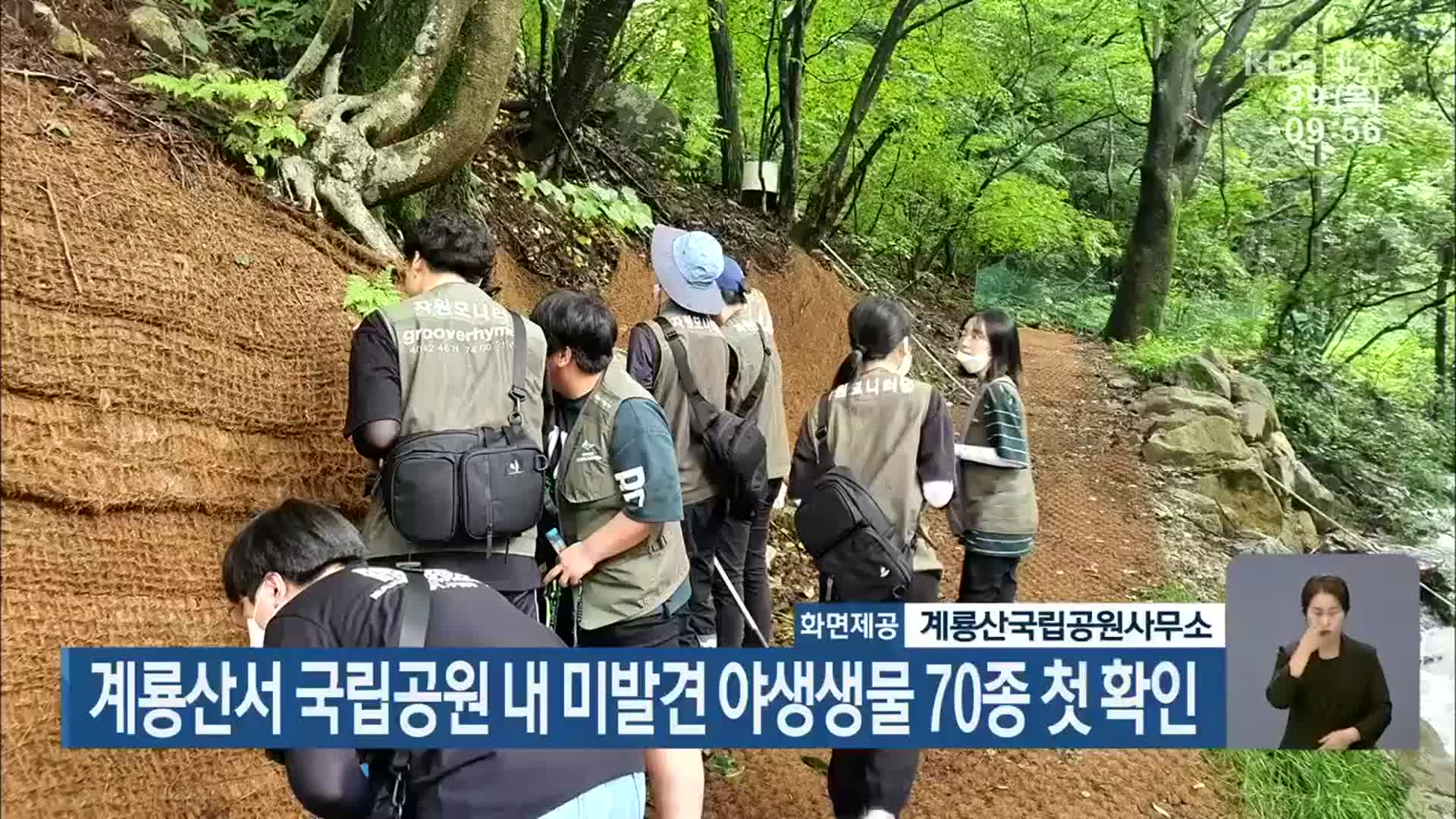계룡산서 국립공원 내 미발견 야생생물 70종 첫 확인